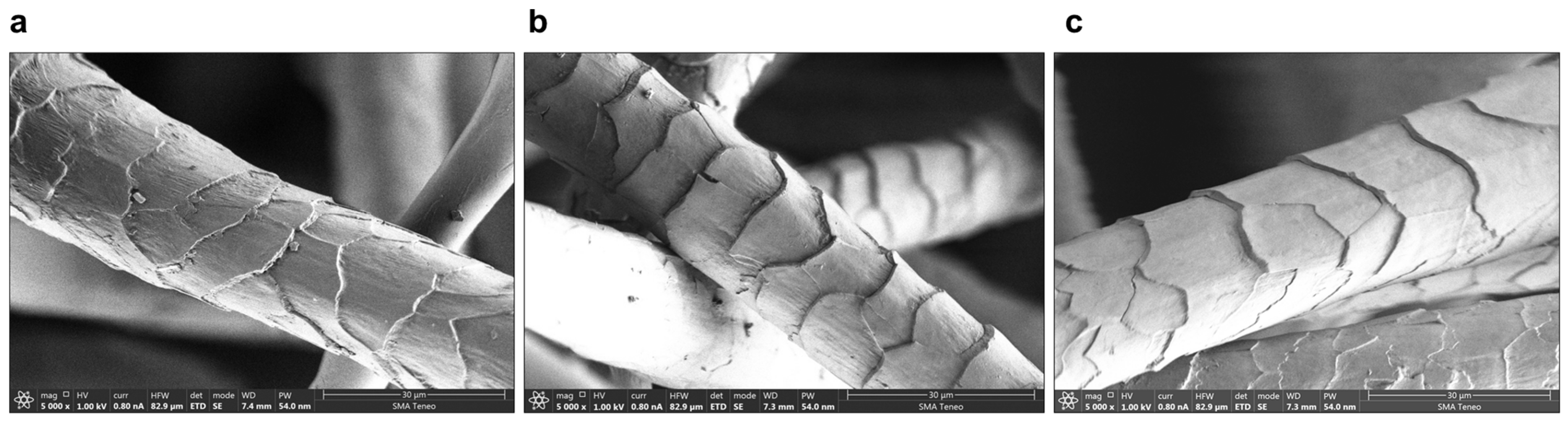 Textiles 04 00032 g002