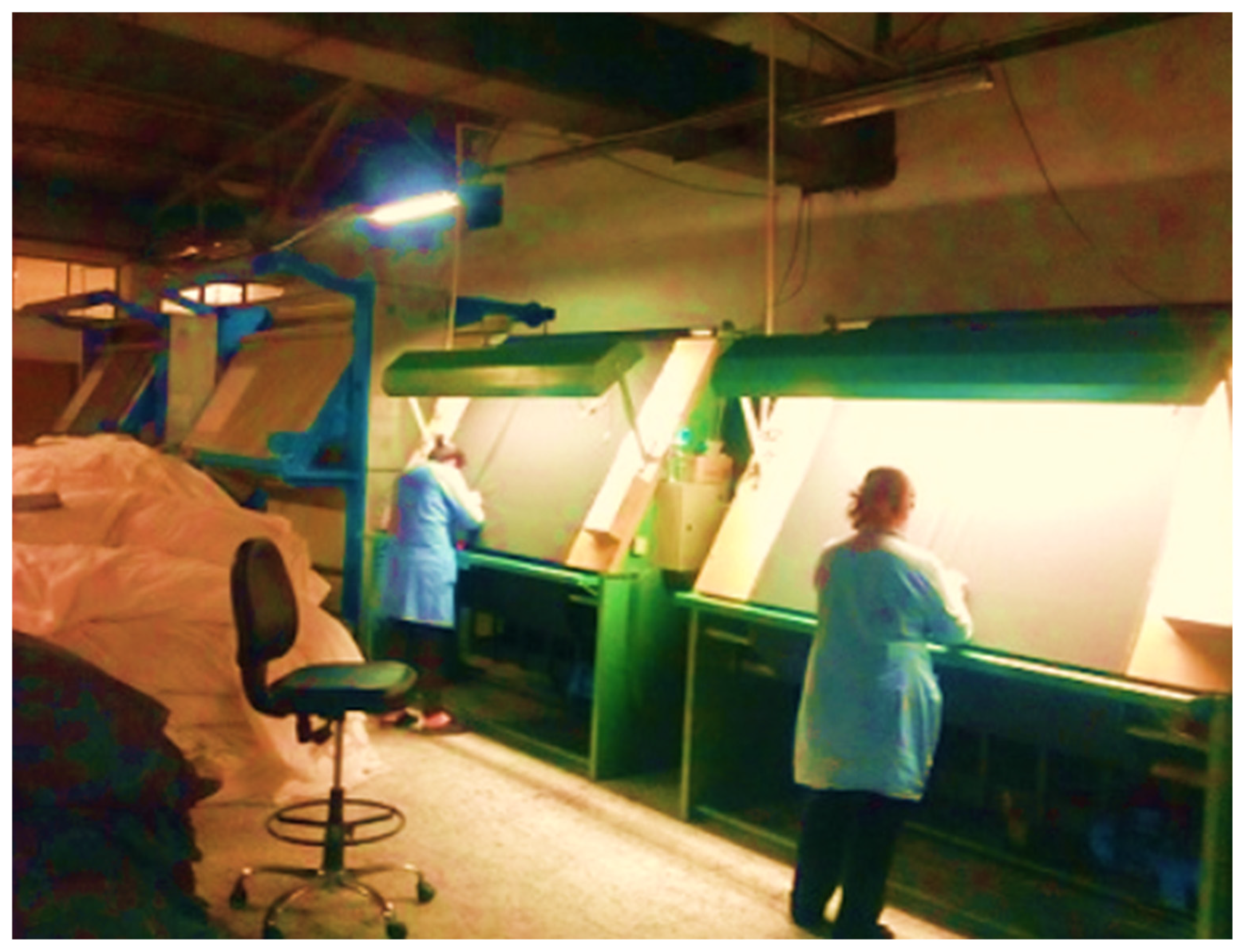 Textiles 05 00012 g002