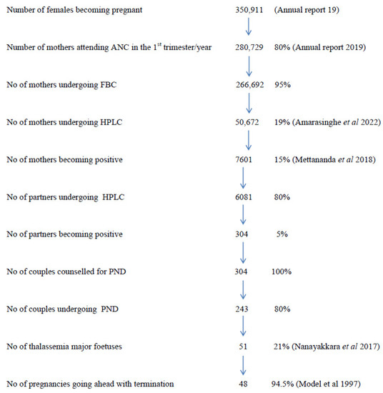 Thalassemia Reports, Free Full-Text