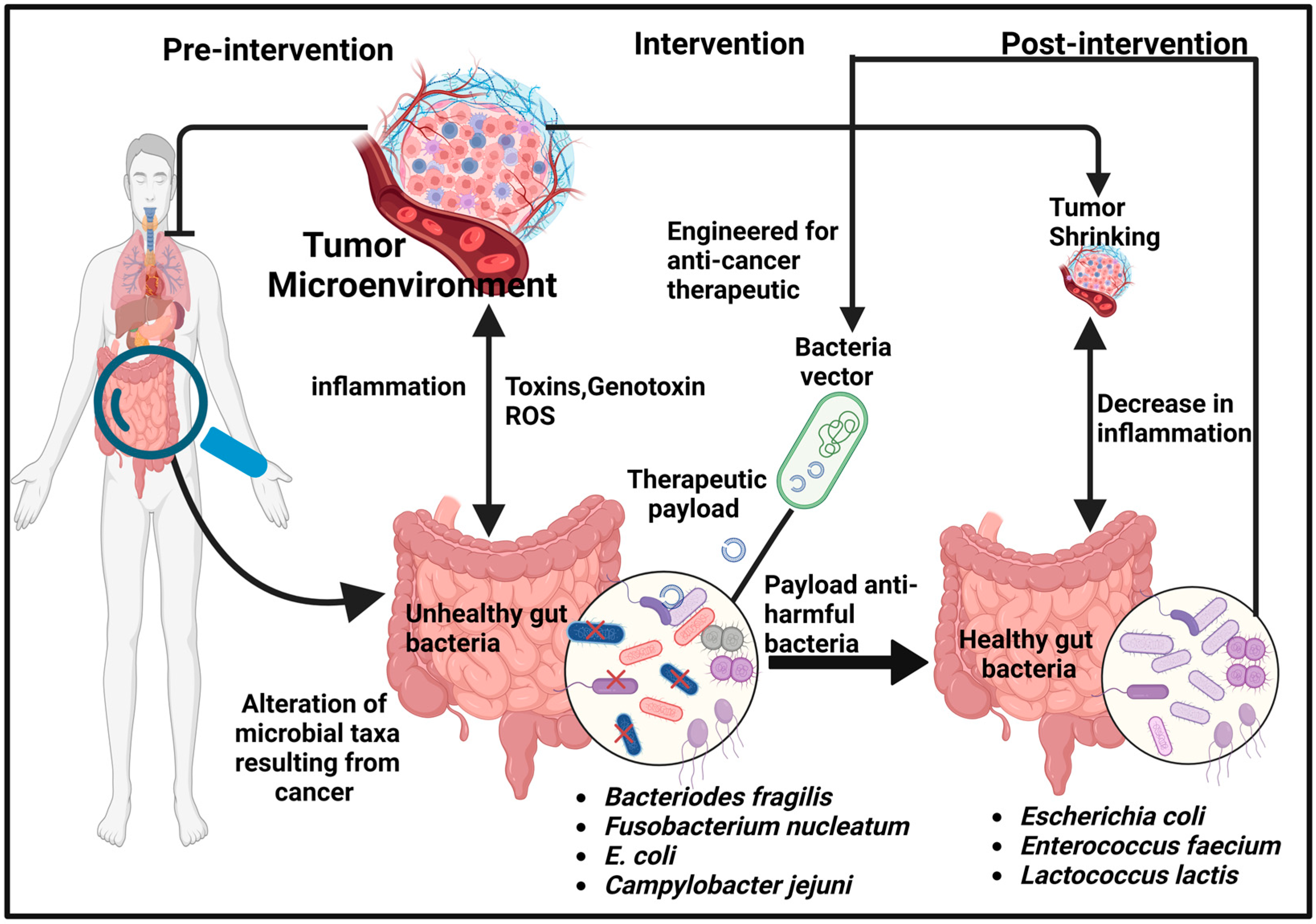 Therapeutics 01 00011 g001 Therapeutics 01 00011 g001