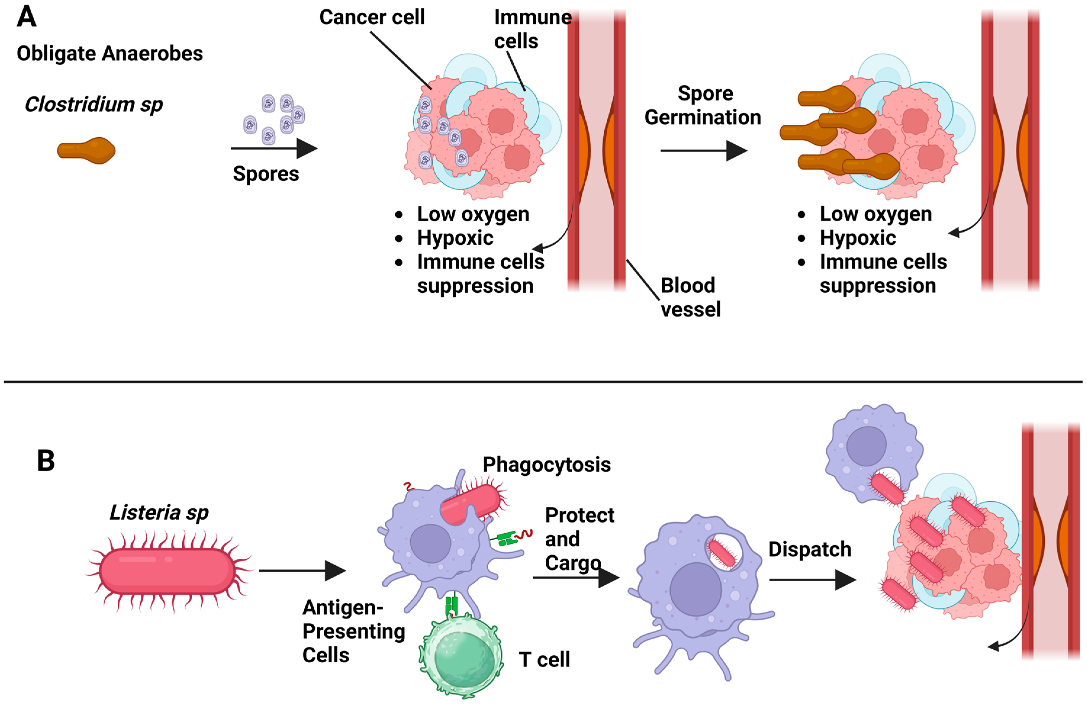 Therapeutics 01 00011 g002 Therapeutics 01 00011 g002