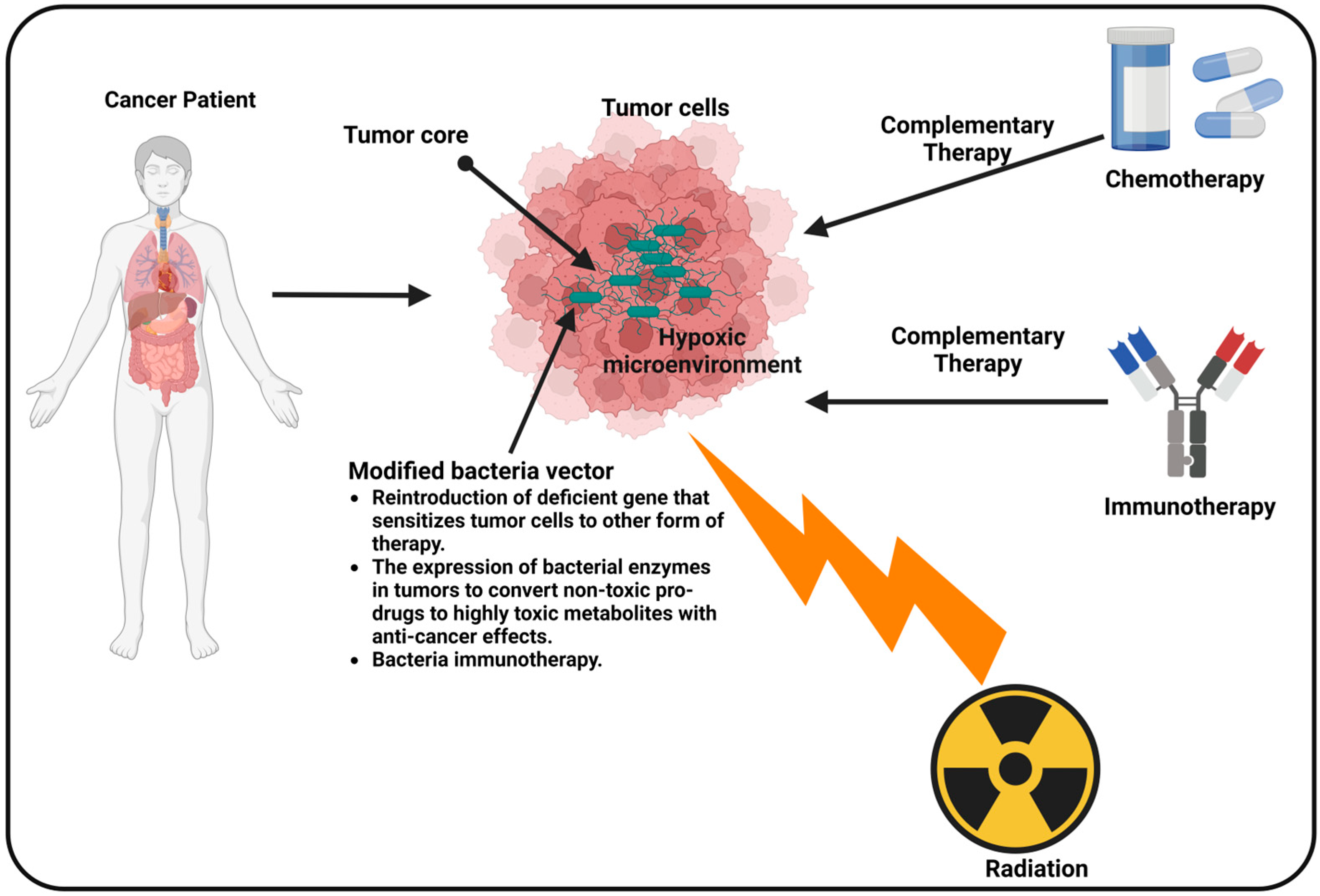 Therapeutics 01 00011 g003 Therapeutics 01 00011 g003