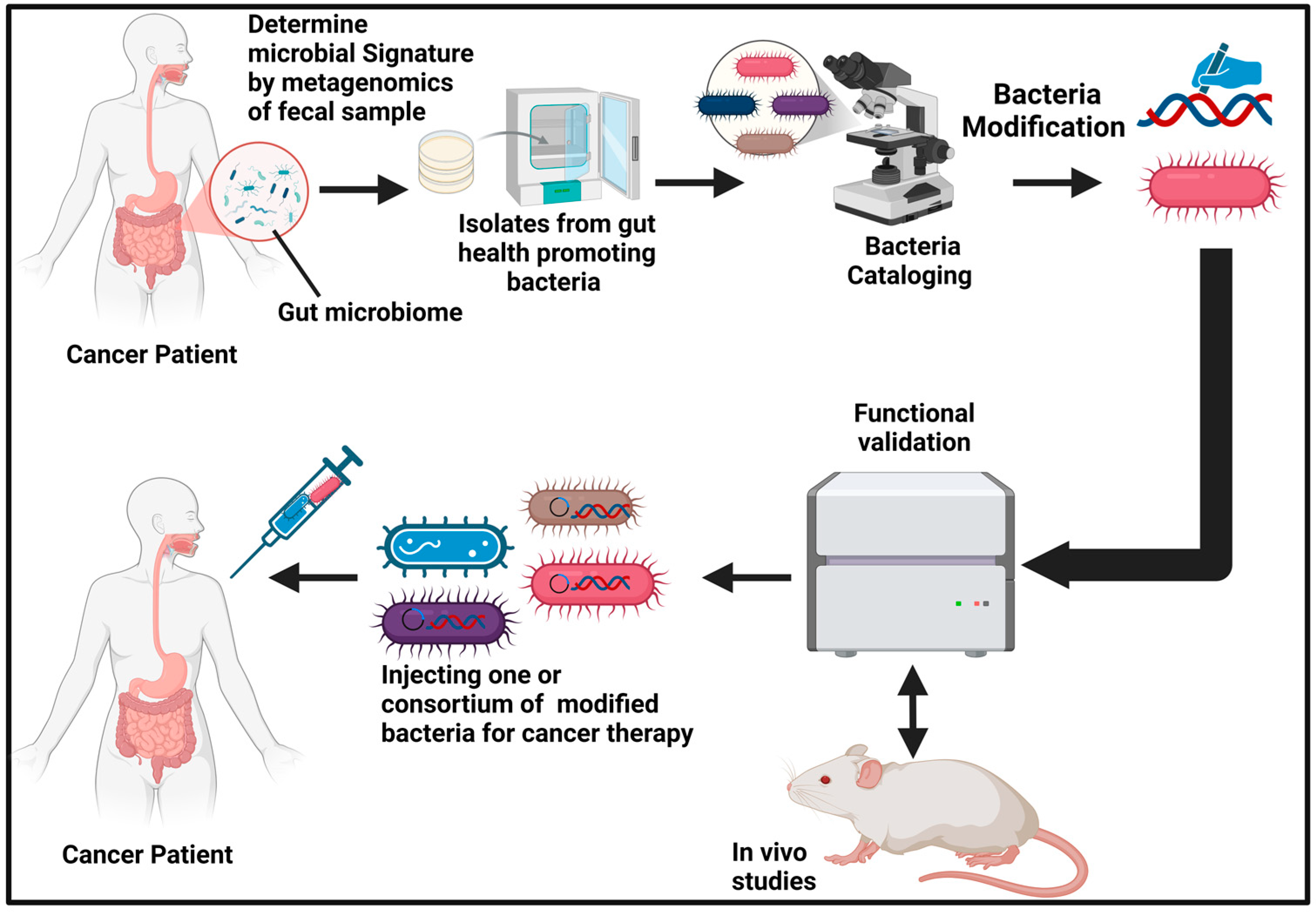 Therapeutics 01 00011 g004 Therapeutics 01 00011 g004