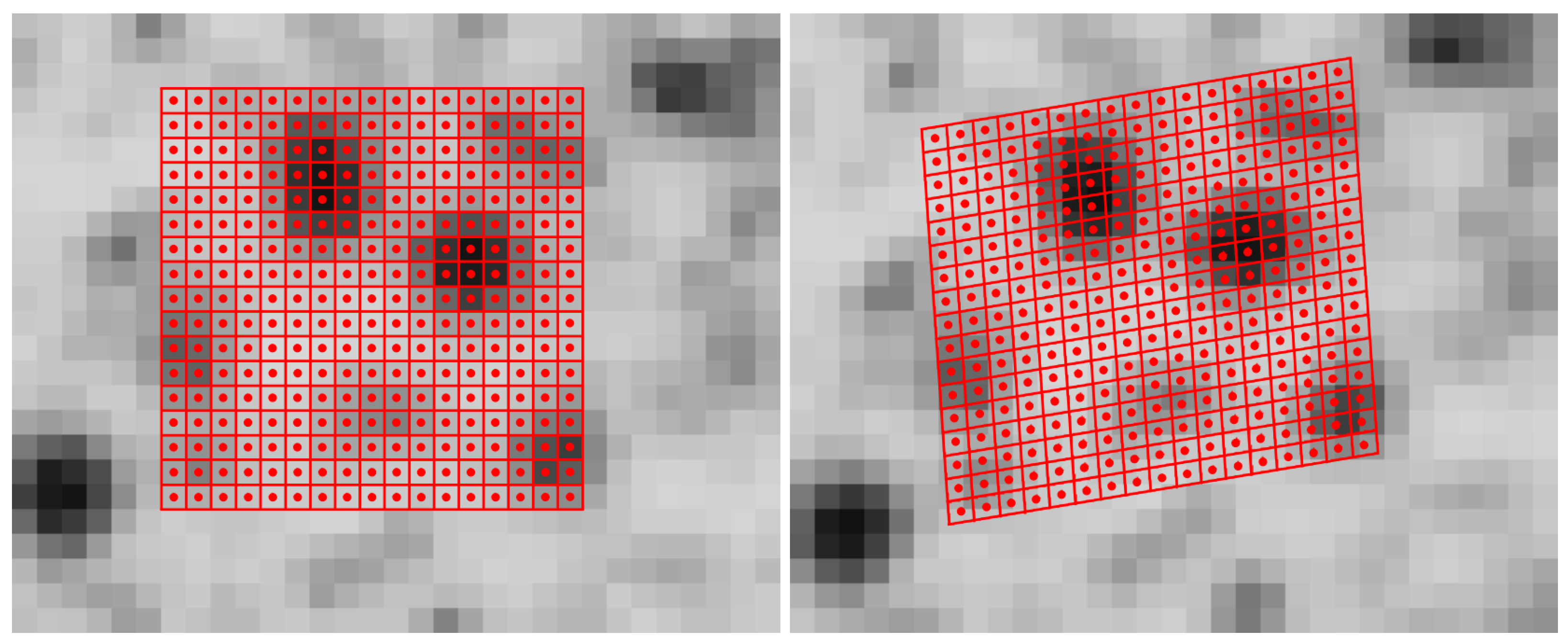 exporting x-rays galileos viewer