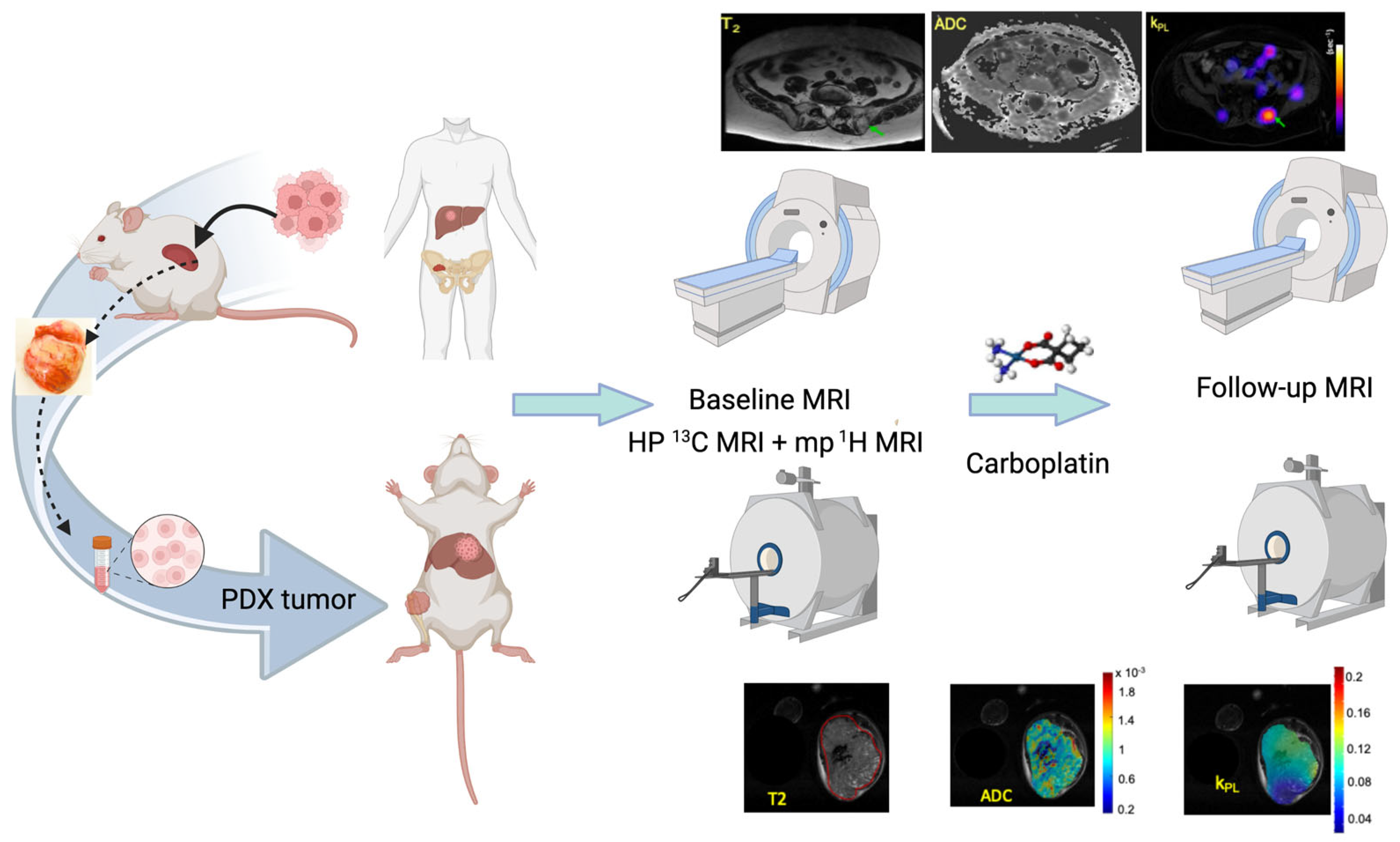 Tomography 09 00053 g001