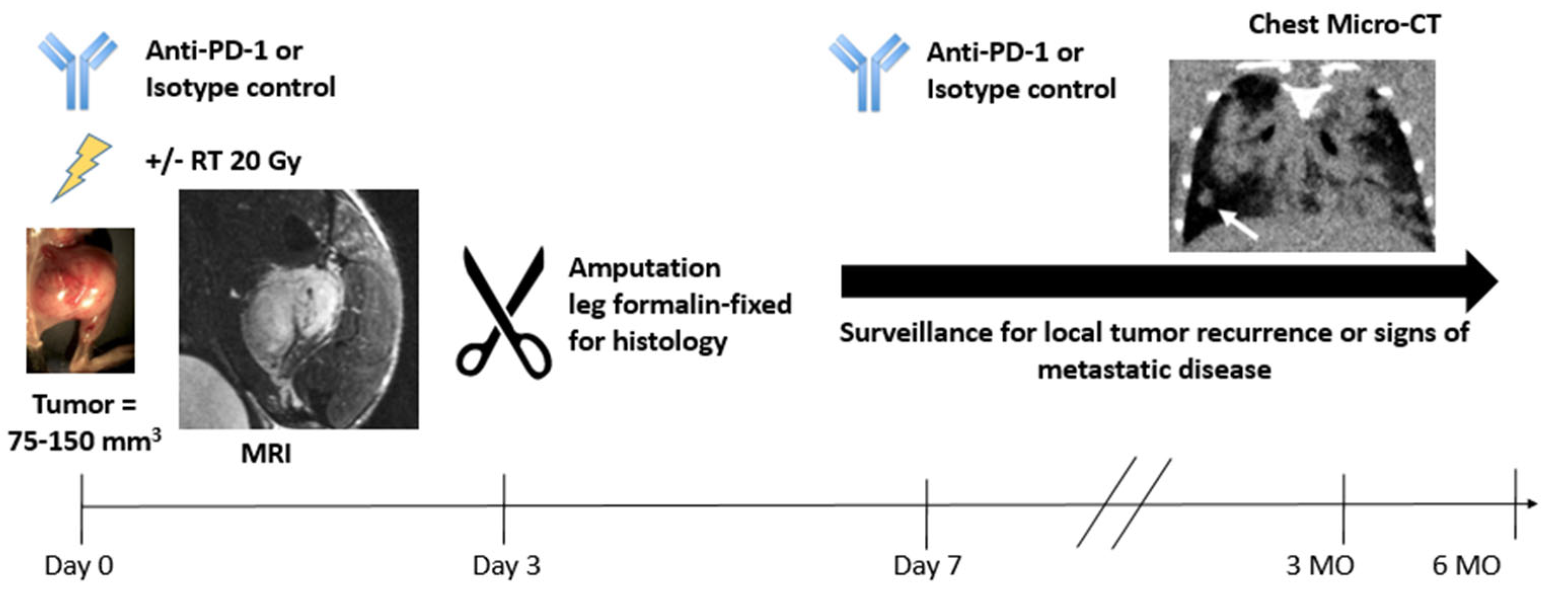 Tomography 09 00053 g002