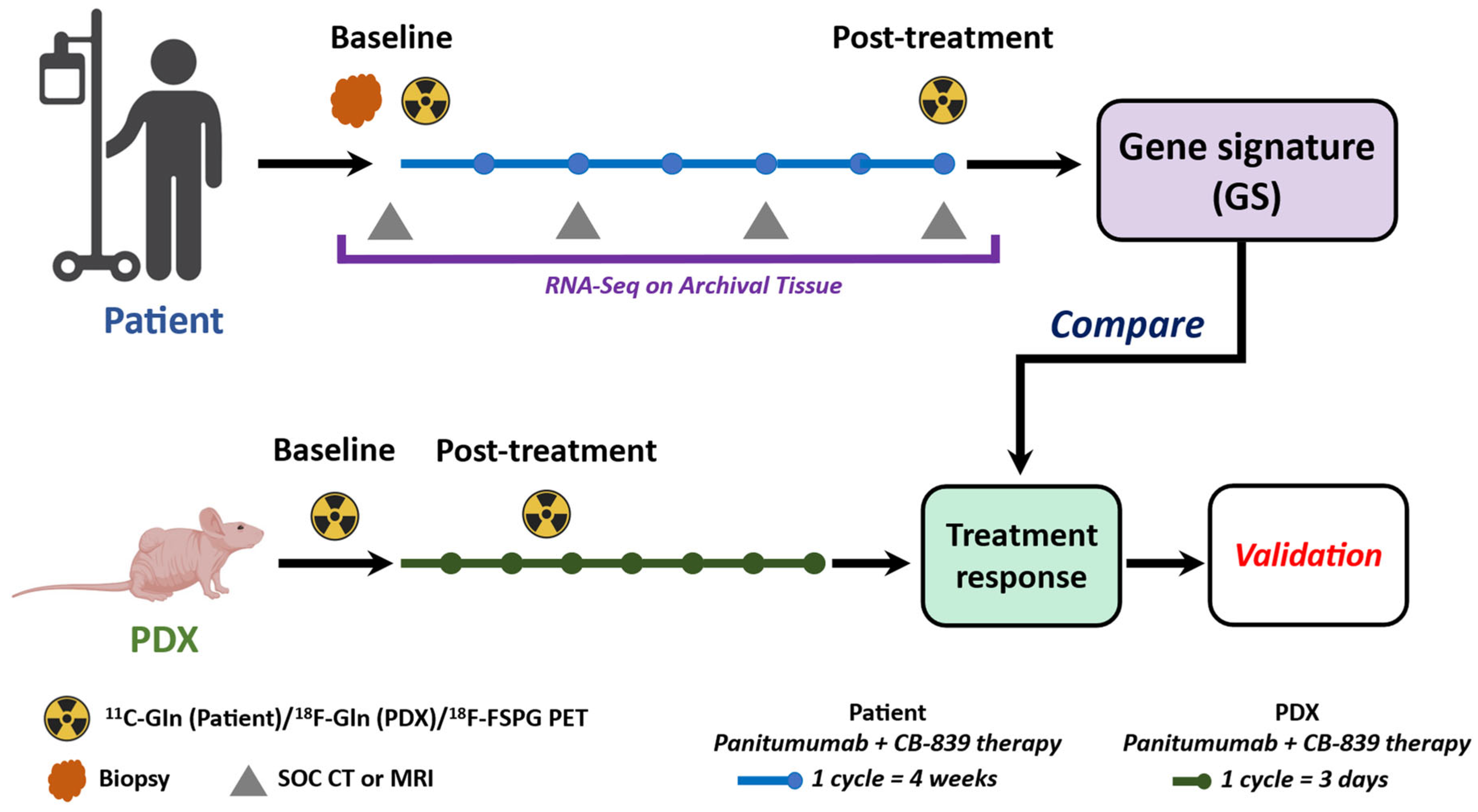 Tomography 09 00053 g003