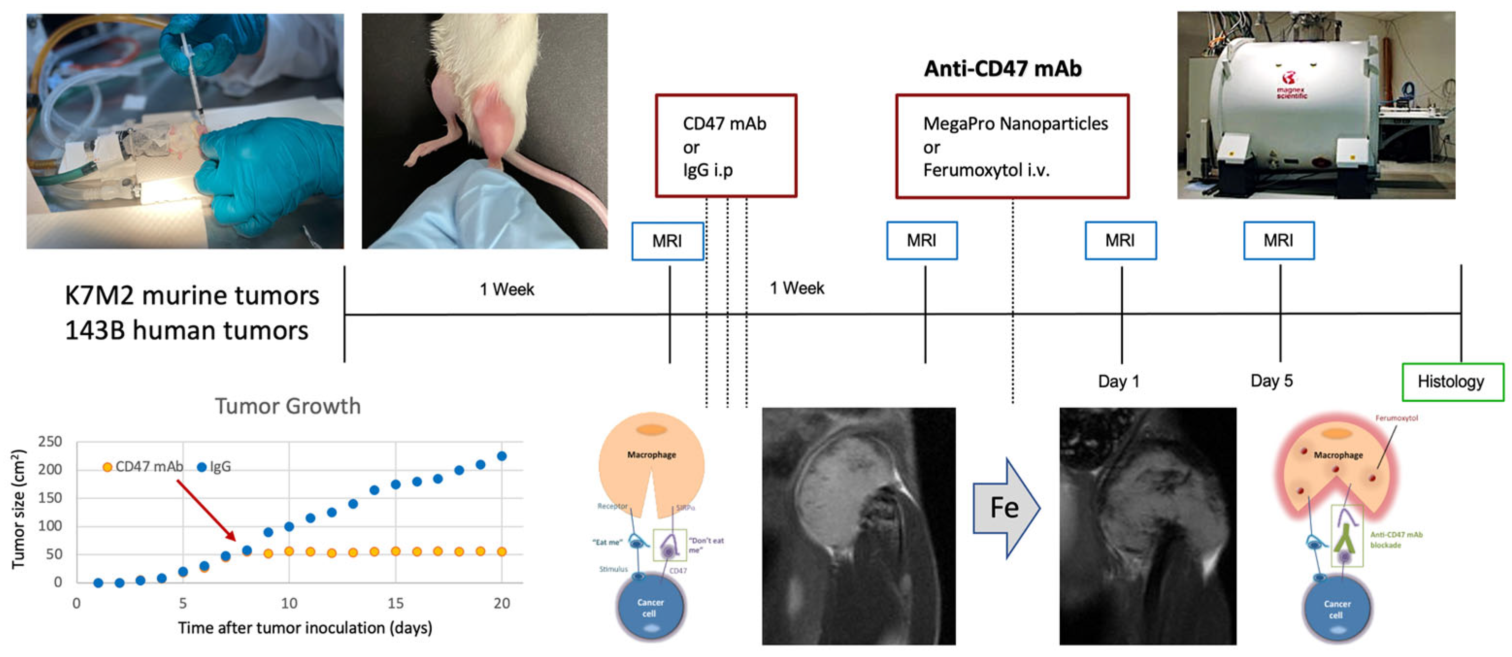 Tomography 09 00053 g004