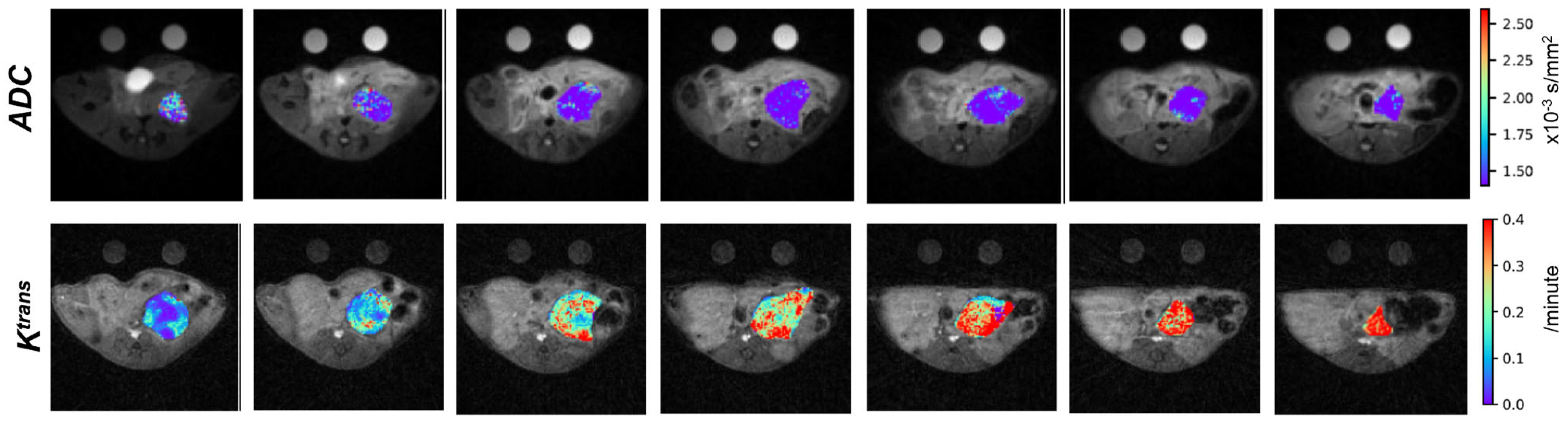 Tomography 09 00053 g006