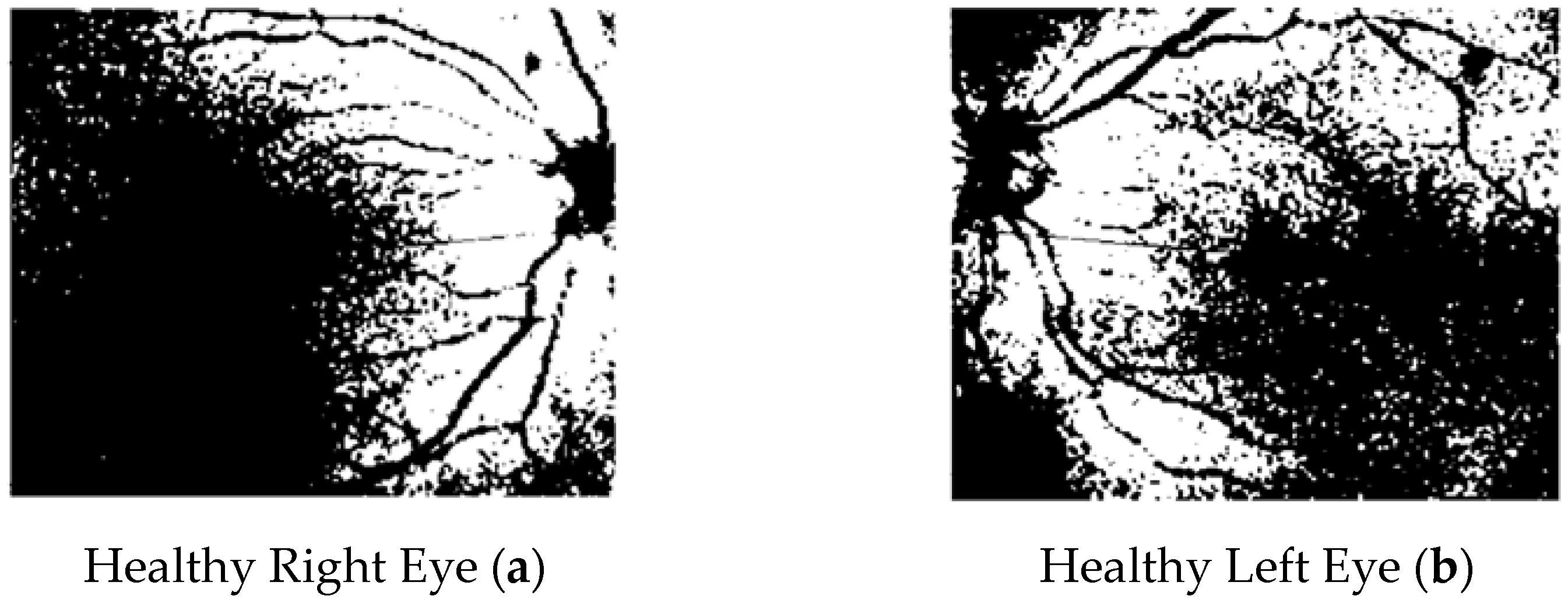 Tomography 10 00037 g004