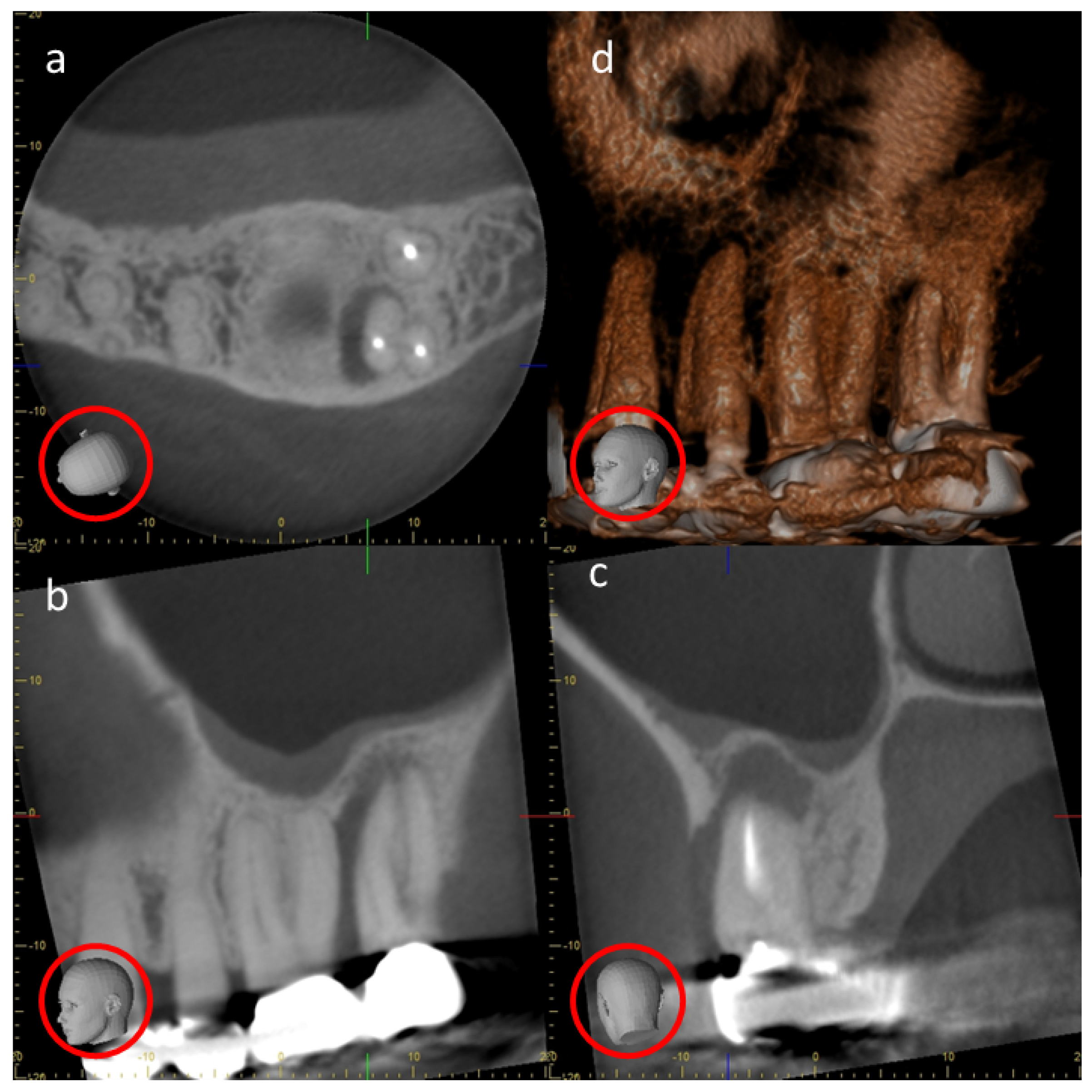 Tomography 10 00092 g006