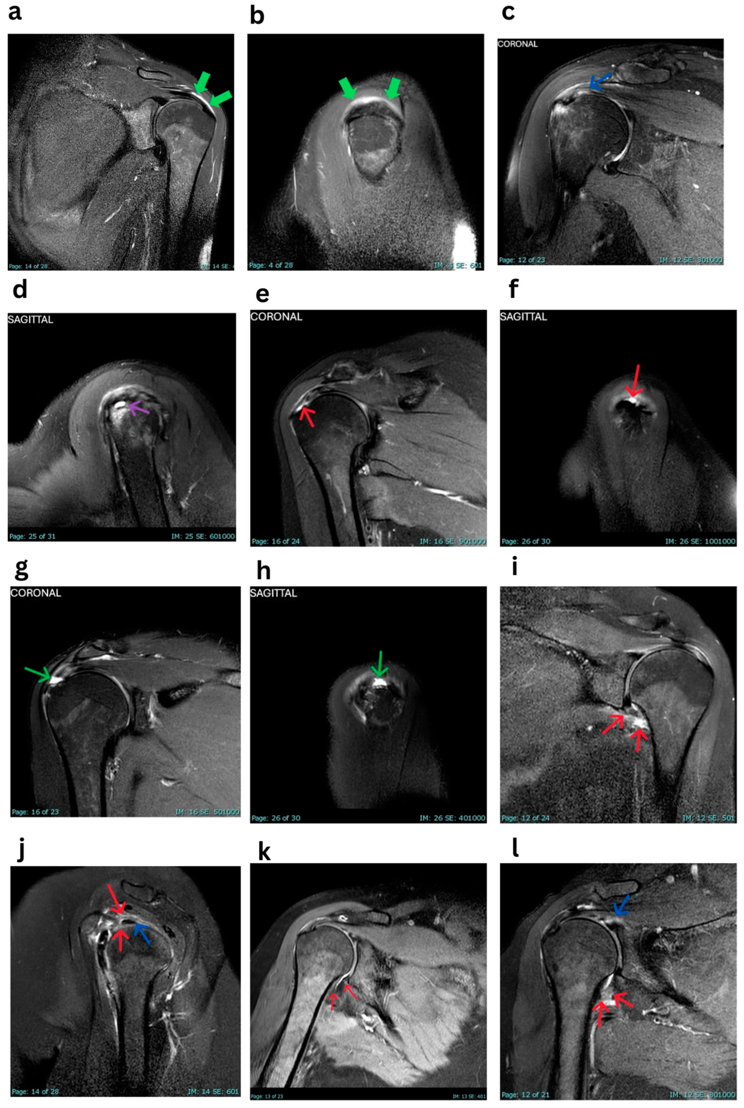 Tomography 11 00053 g001