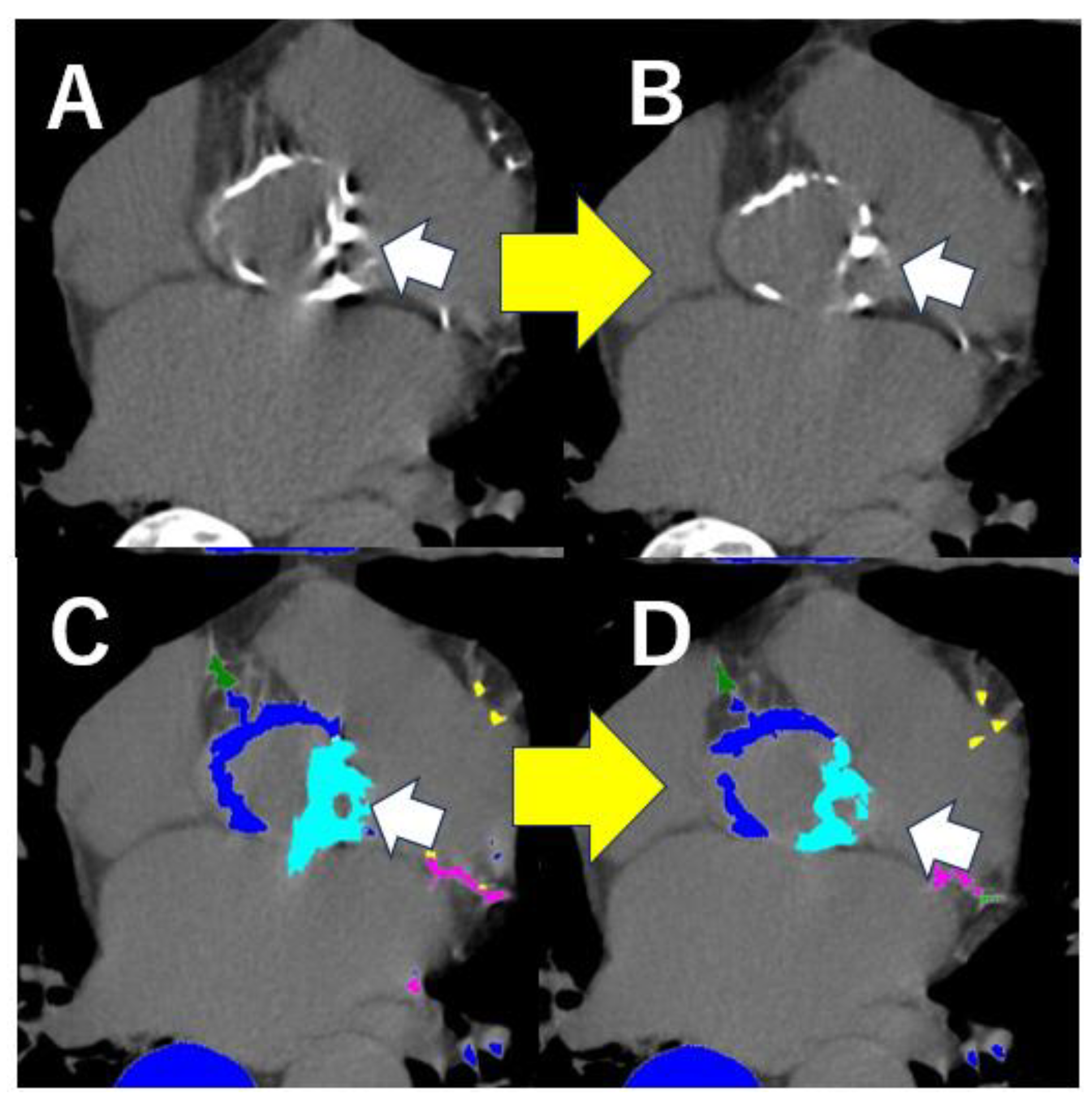 Tomography 11 00062 g002