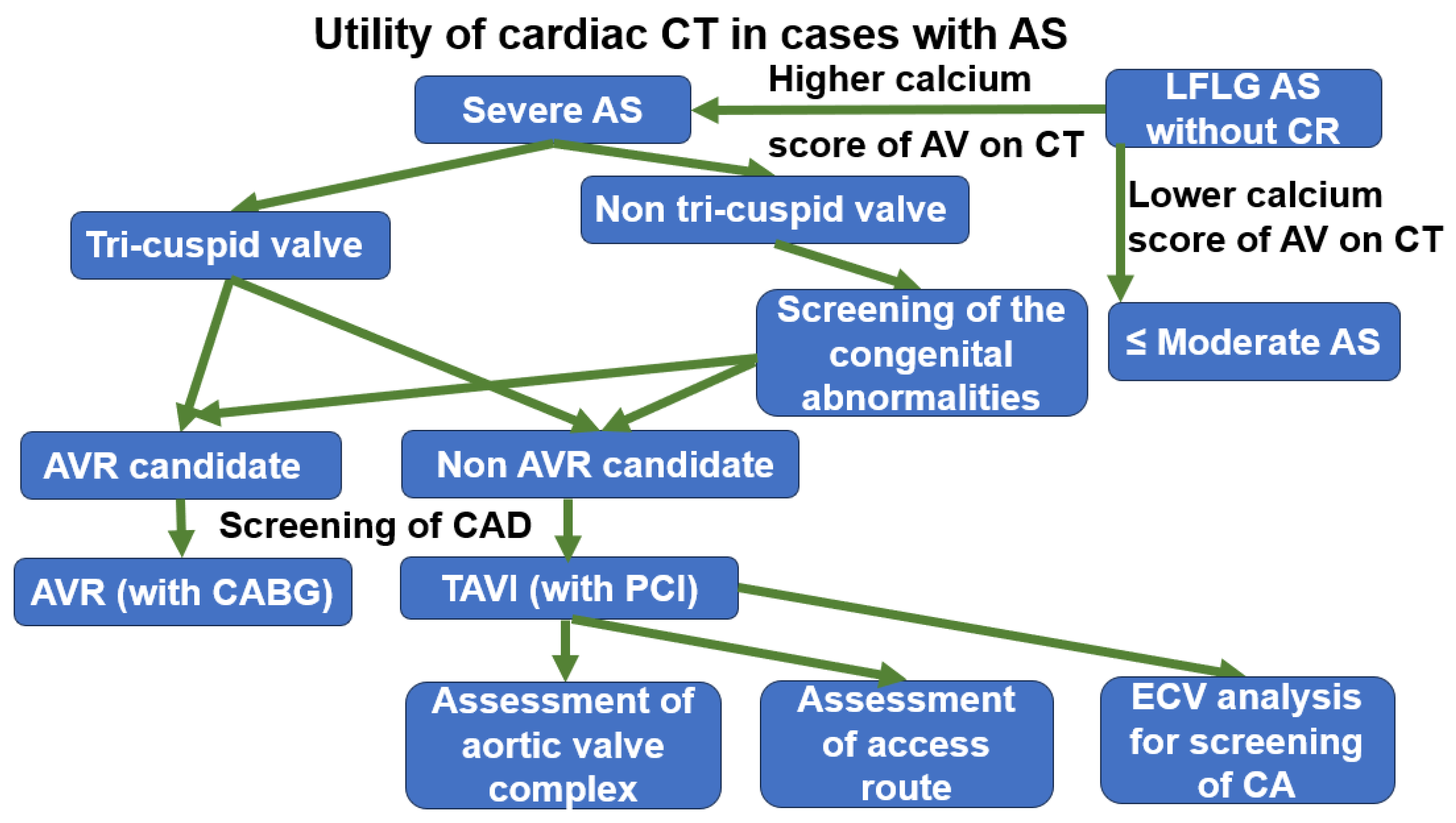 Tomography 11 00062 g009