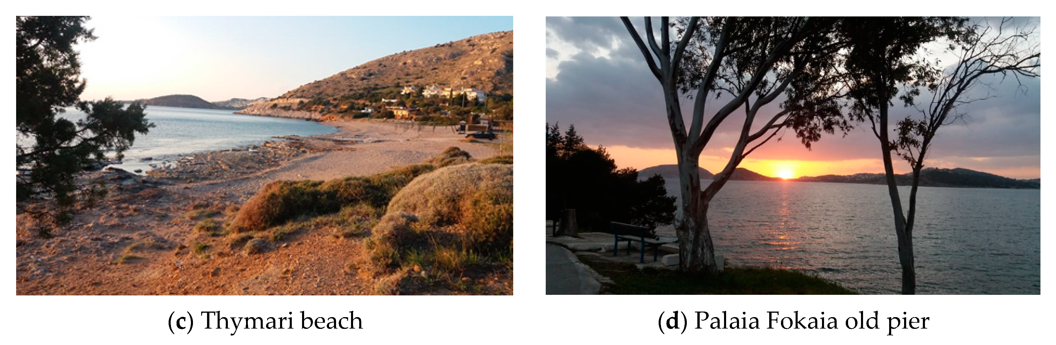 Tourismhosp 02 00016 g003b Tourismhosp 02 00016 g003b