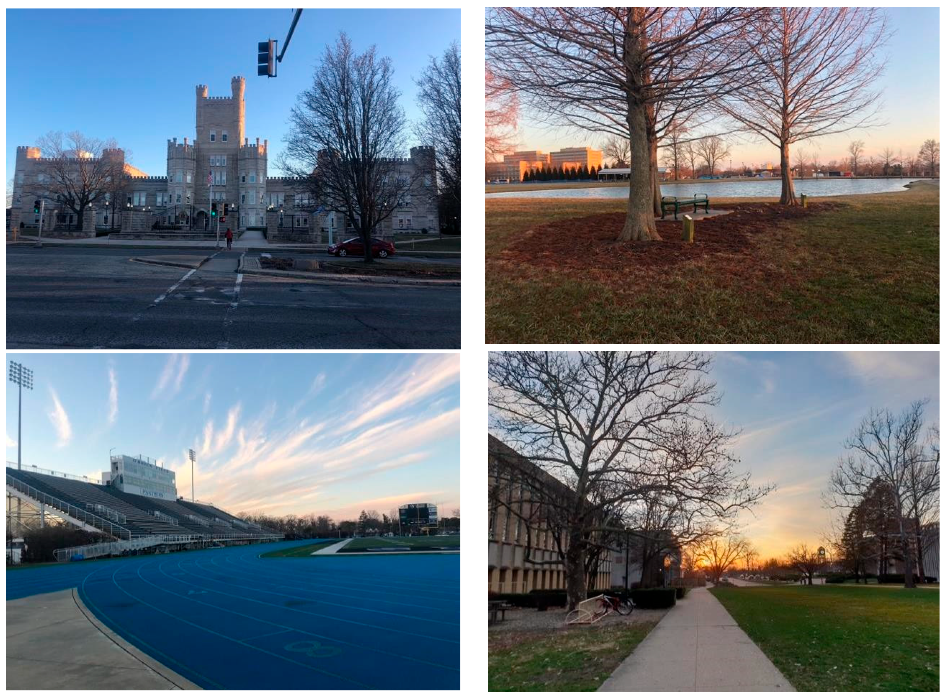 Tourismhosp 05 00040 g002