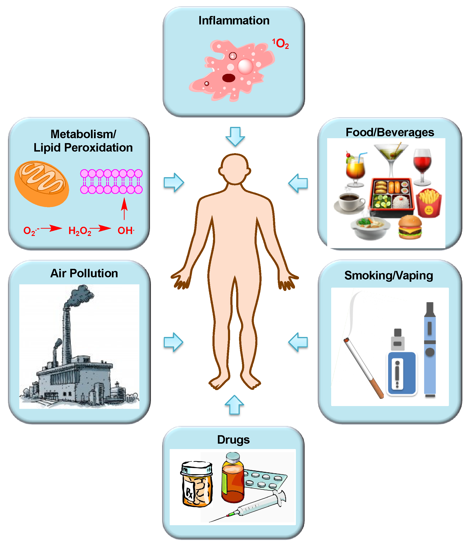 Toxics Free Full Text Bioanalytical And Mass Spectrometric Methods For Aldehyde Profiling In Biological Fluids Html