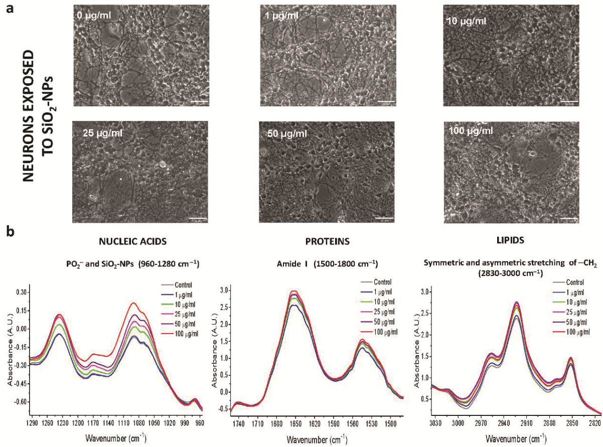 Toxics 08 00051 g003 Toxics 08 00051 g003
