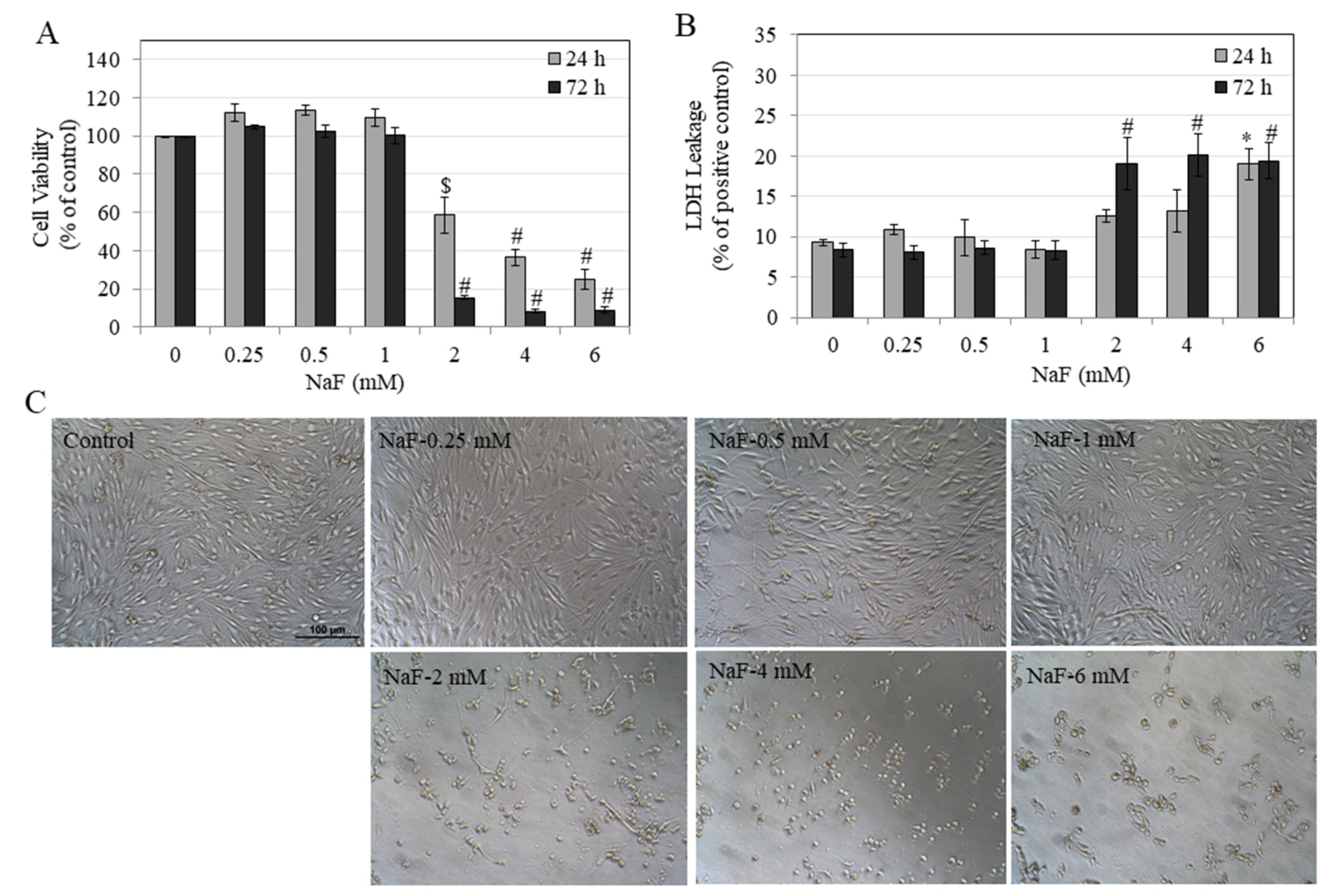 Prolonged exposure to high fluoride levels during adolescence to adulthood  elicits molecular, morphological, and functional impairments in the  hippocampus