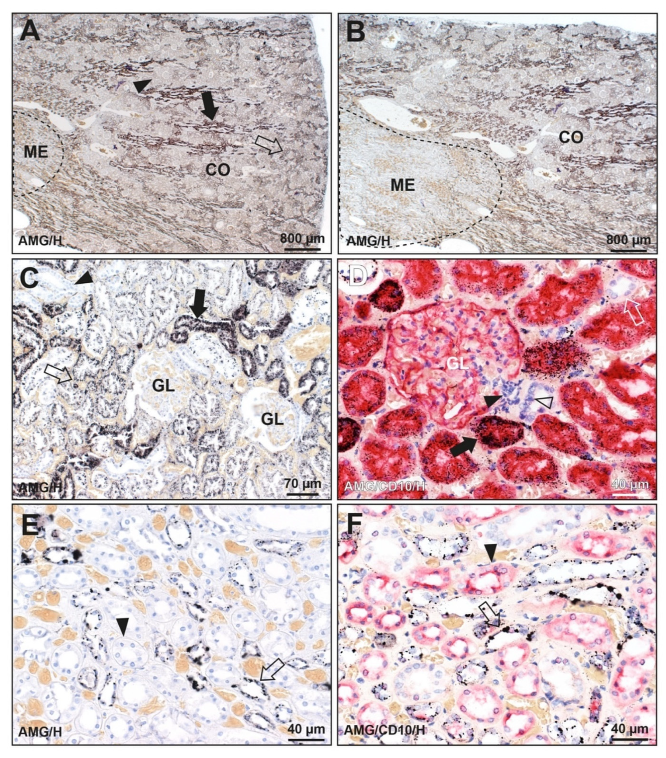 Toxics 09 00067 g002 Toxics 09 00067 g002