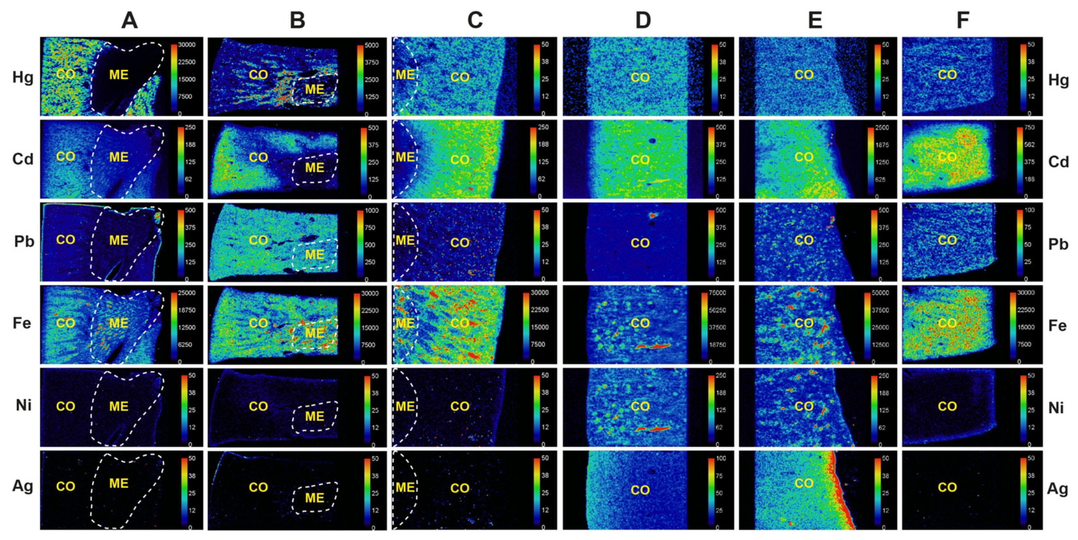 Toxics 09 00067 g005 Toxics 09 00067 g005
