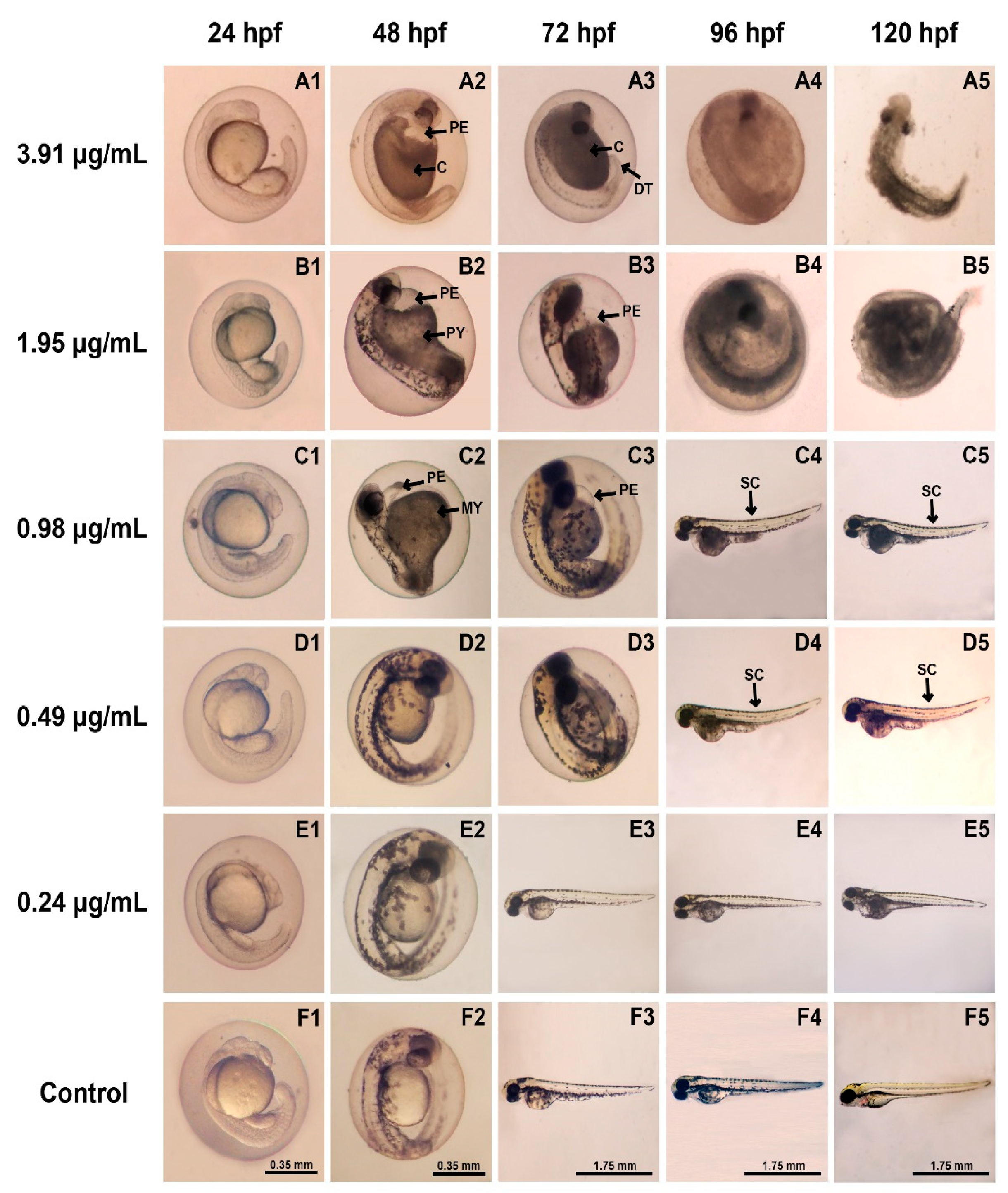 Toxics 09 00102 g004 Toxics 09 00102 g004