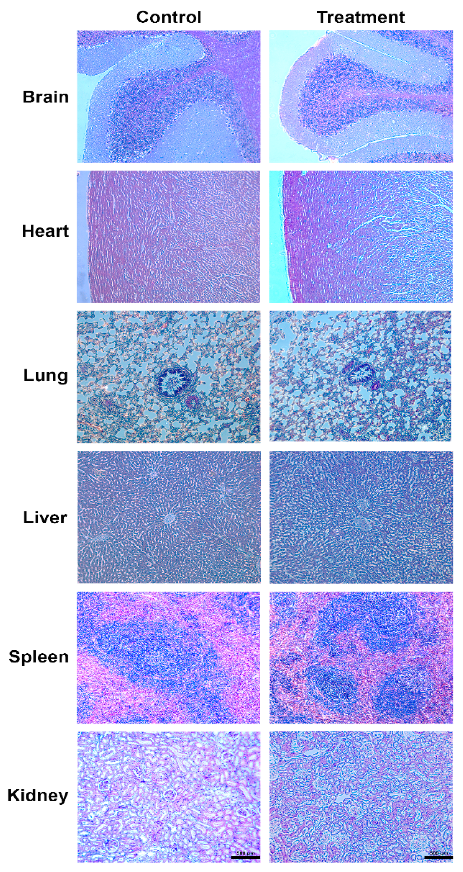Toxics 09 00102 g006 Toxics 09 00102 g006