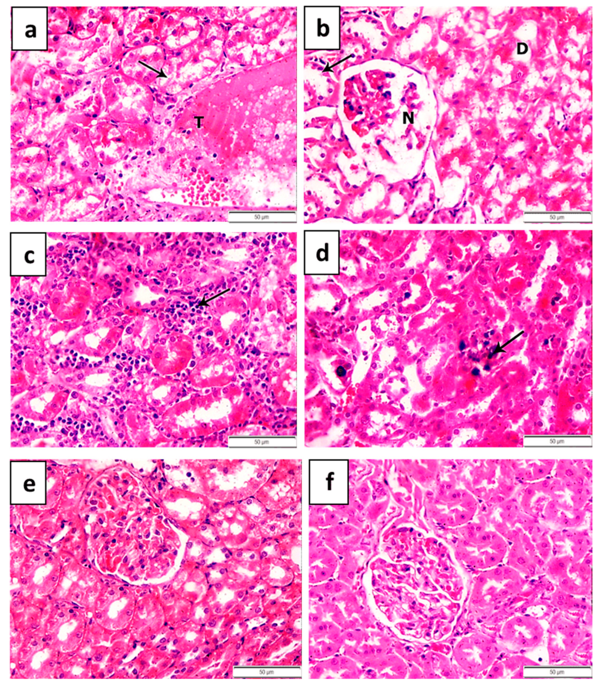 Toxics 09 00123 g004 Toxics 09 00123 g004