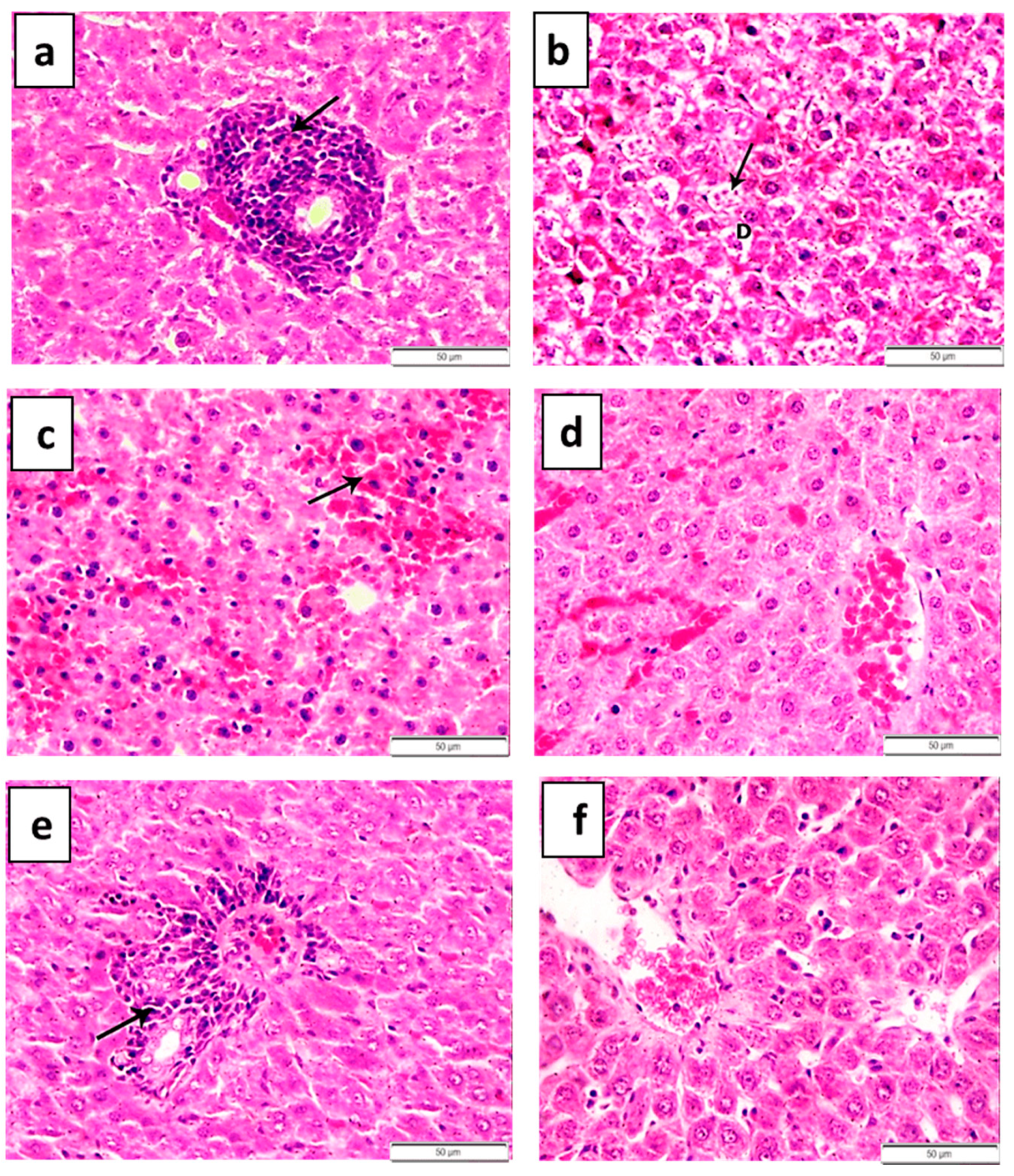 Toxics 09 00123 g005 Toxics 09 00123 g005