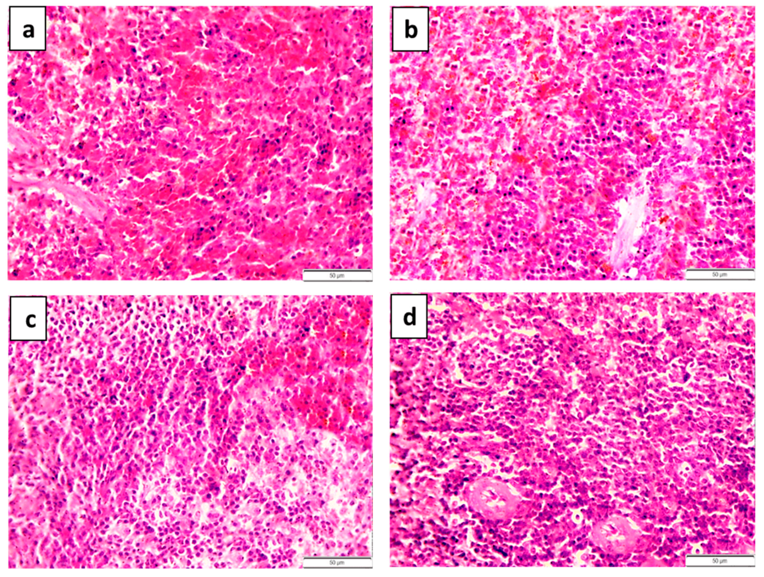 Toxics 09 00123 g006 Toxics 09 00123 g006
