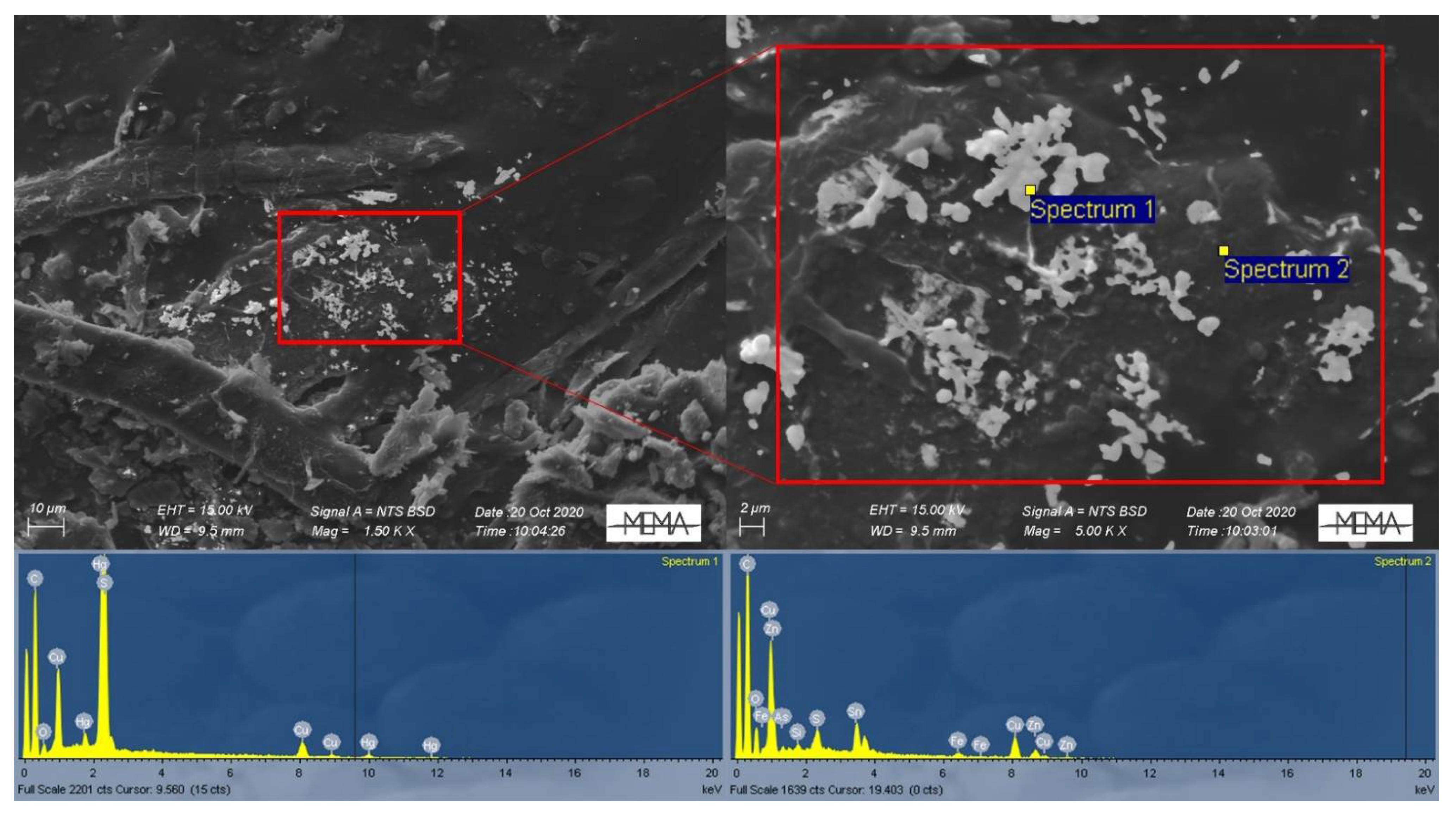 Toxics Free Full Text Particle Bound Mercury Characterization In The Central Italian Herbarium Of The Natural History Museum Of The University Of Florence Italy Html