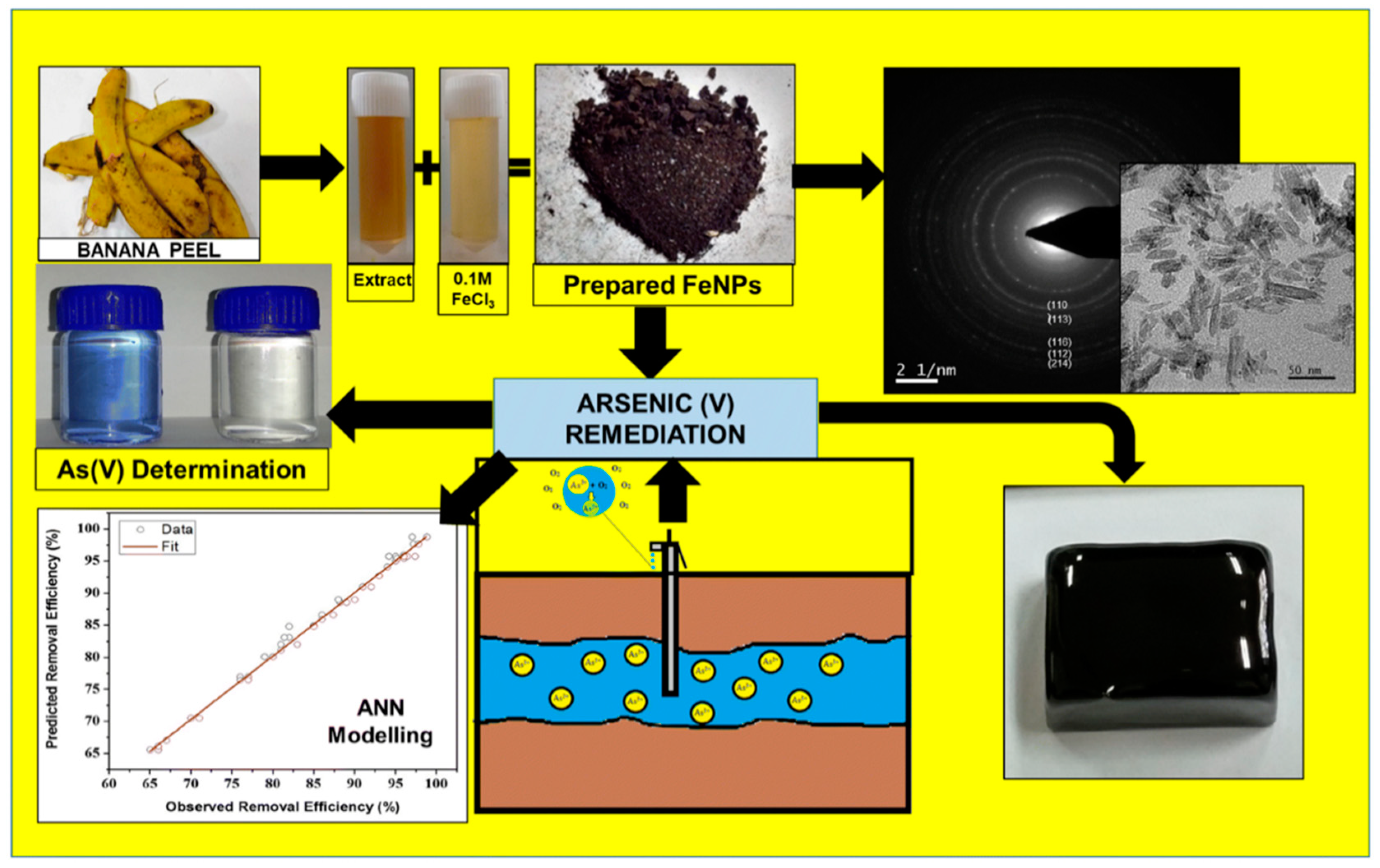 Toxics 09 00143 g007 Toxics 09 00143 g007