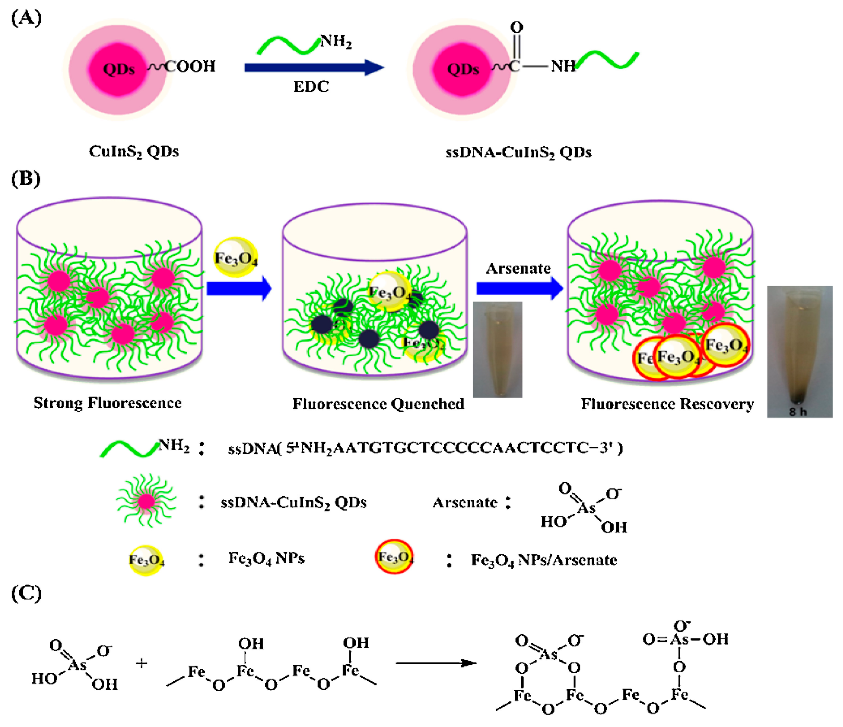 Toxics 09 00143 g008 Toxics 09 00143 g008