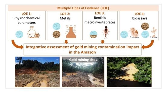 Toxics | Free Full-Text | An Integrative Approach to Assess the  Environmental Impacts of Gold Mining Contamination in the Amazon