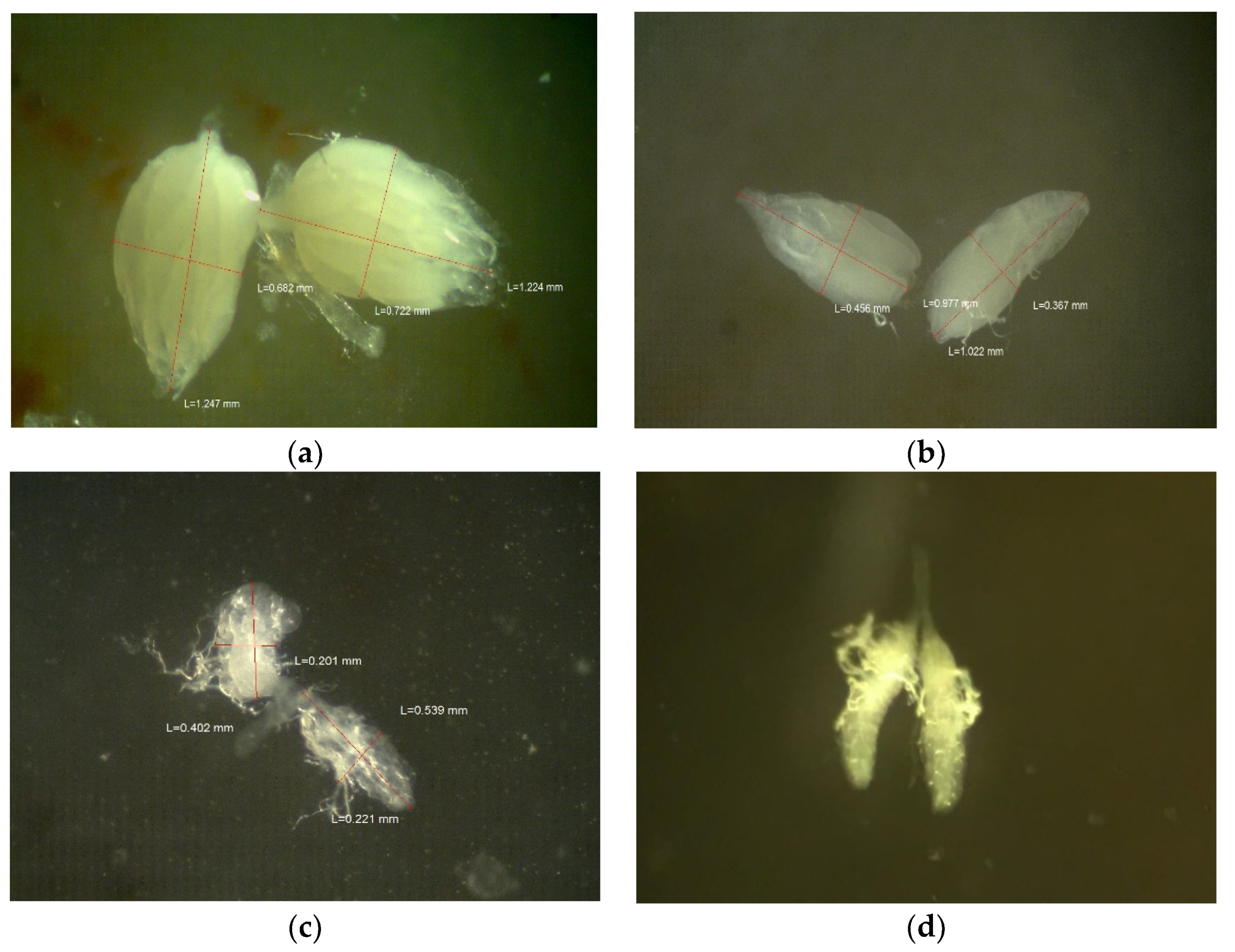Toxics 09 00161 g005