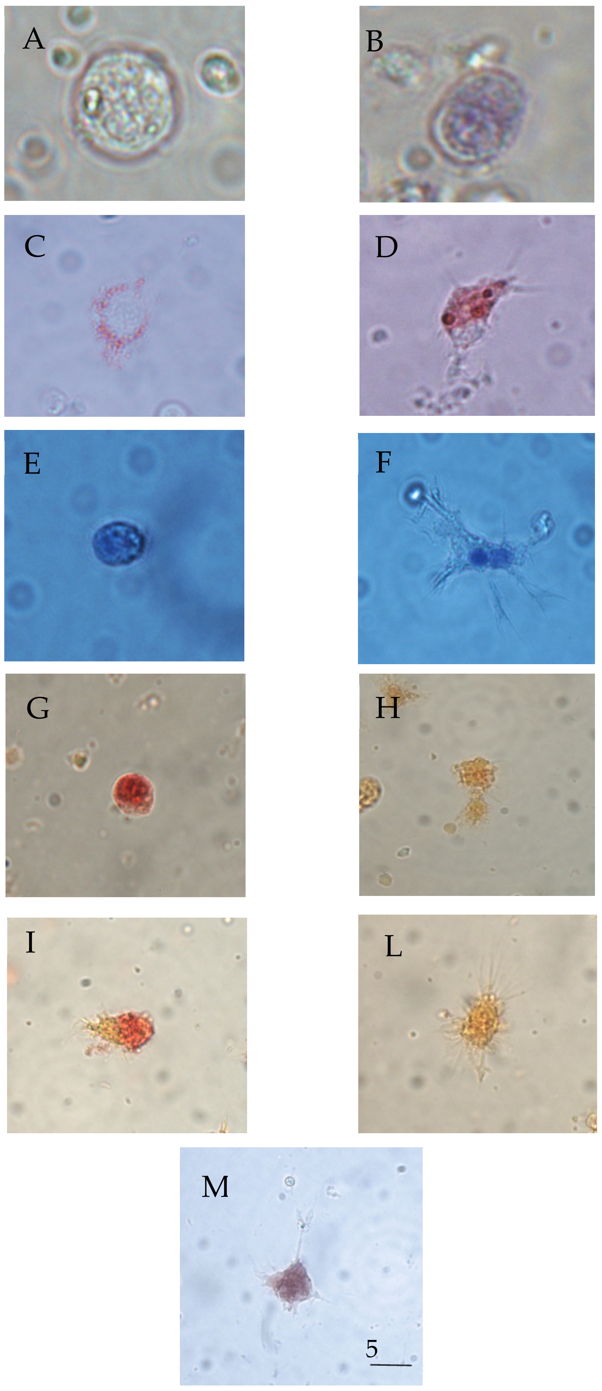 Toxics 09 00191 g003