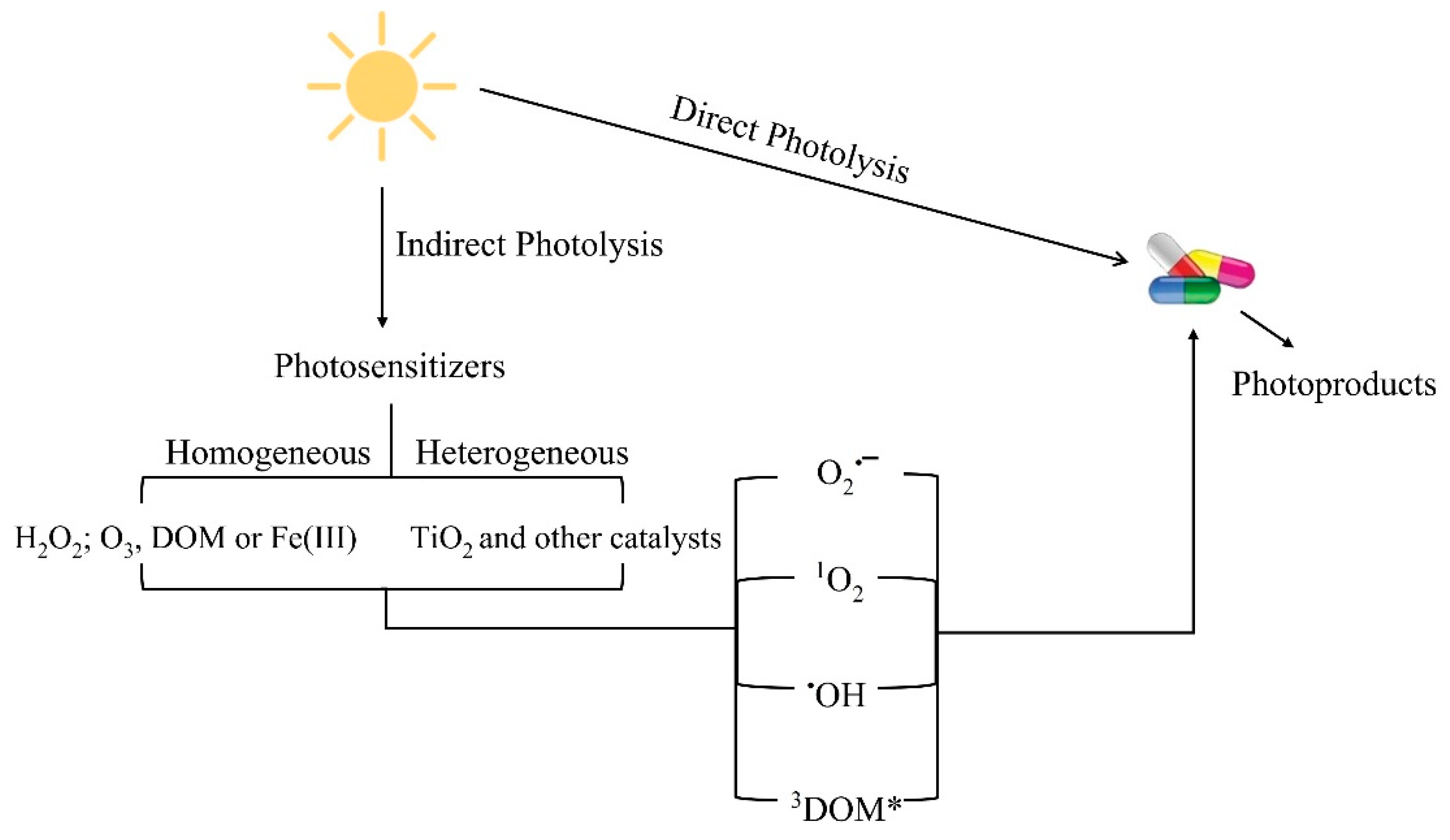 Toxics 09 00194 g001