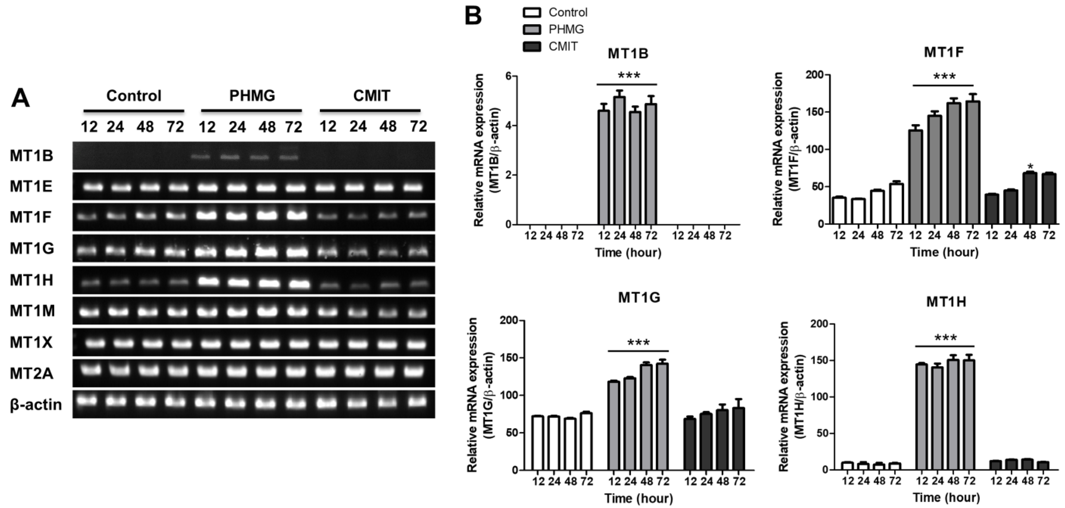 Toxics 09 00203 g003