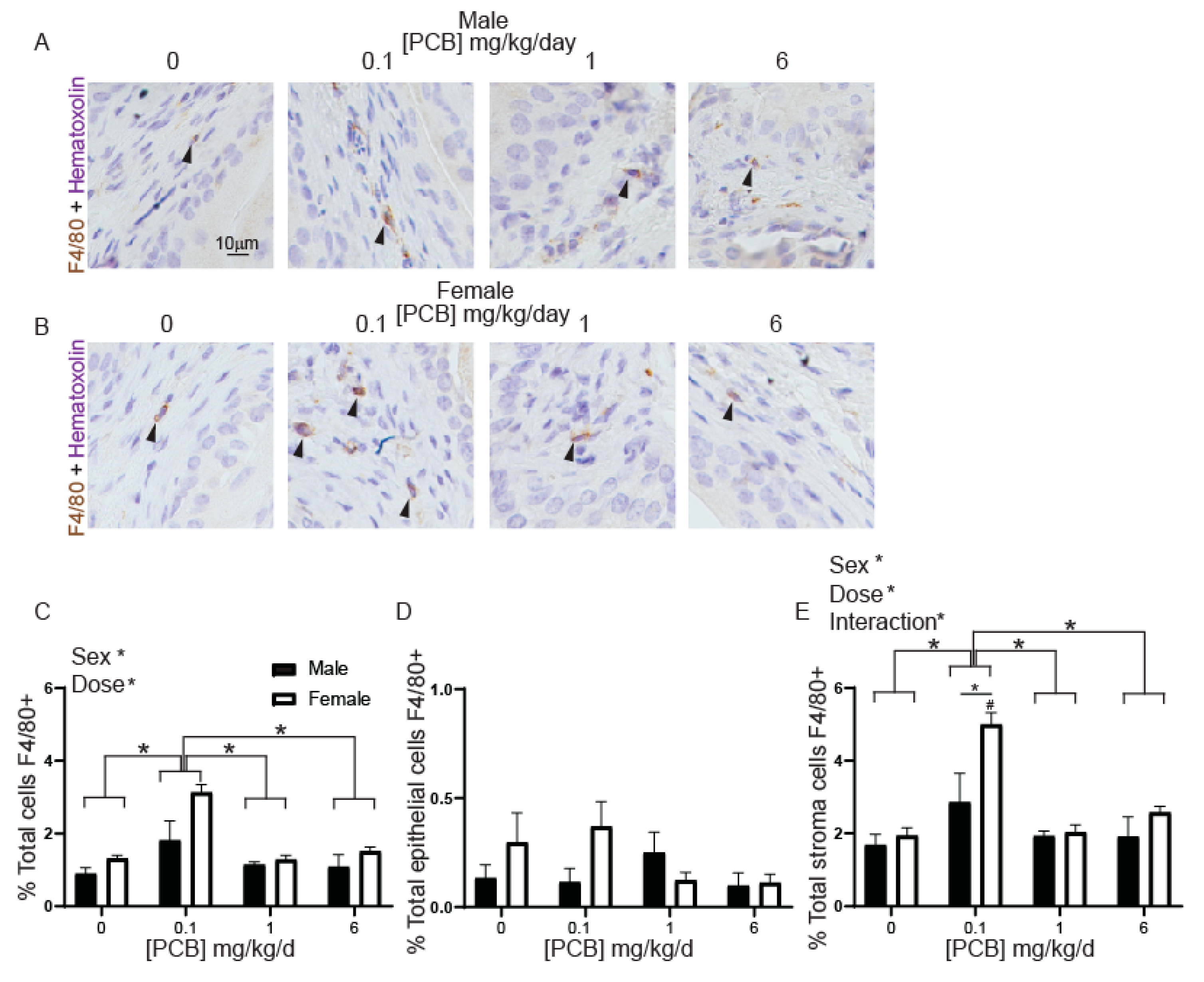 Toxics 09 00214 g004