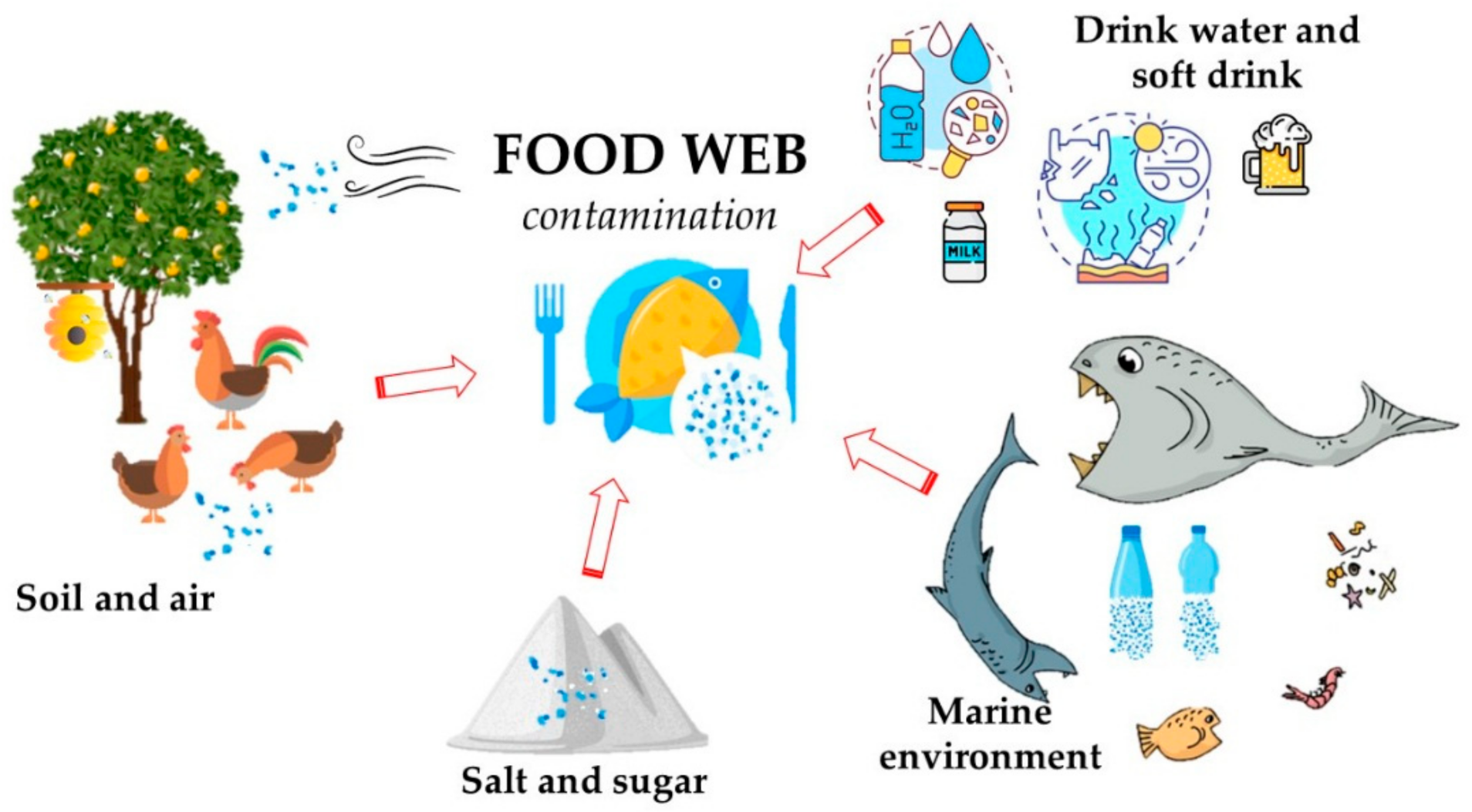 Toxics | Free Full-Text | Microplastics in the Environment: Intake through  the Food Web, Human Exposure and Toxicological Effects