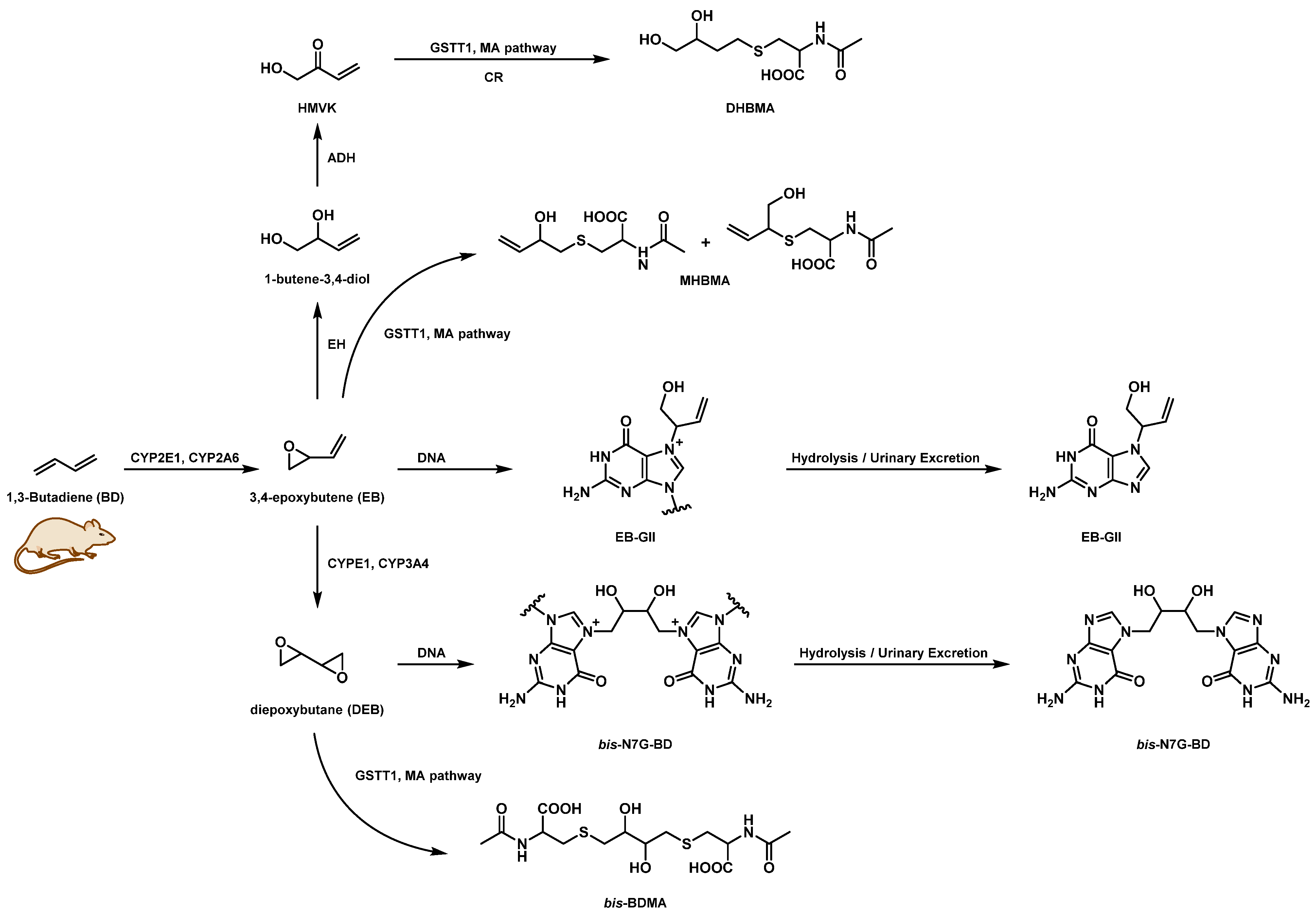 Toxics 09 00247 sch001 Toxics 09 00247 sch001