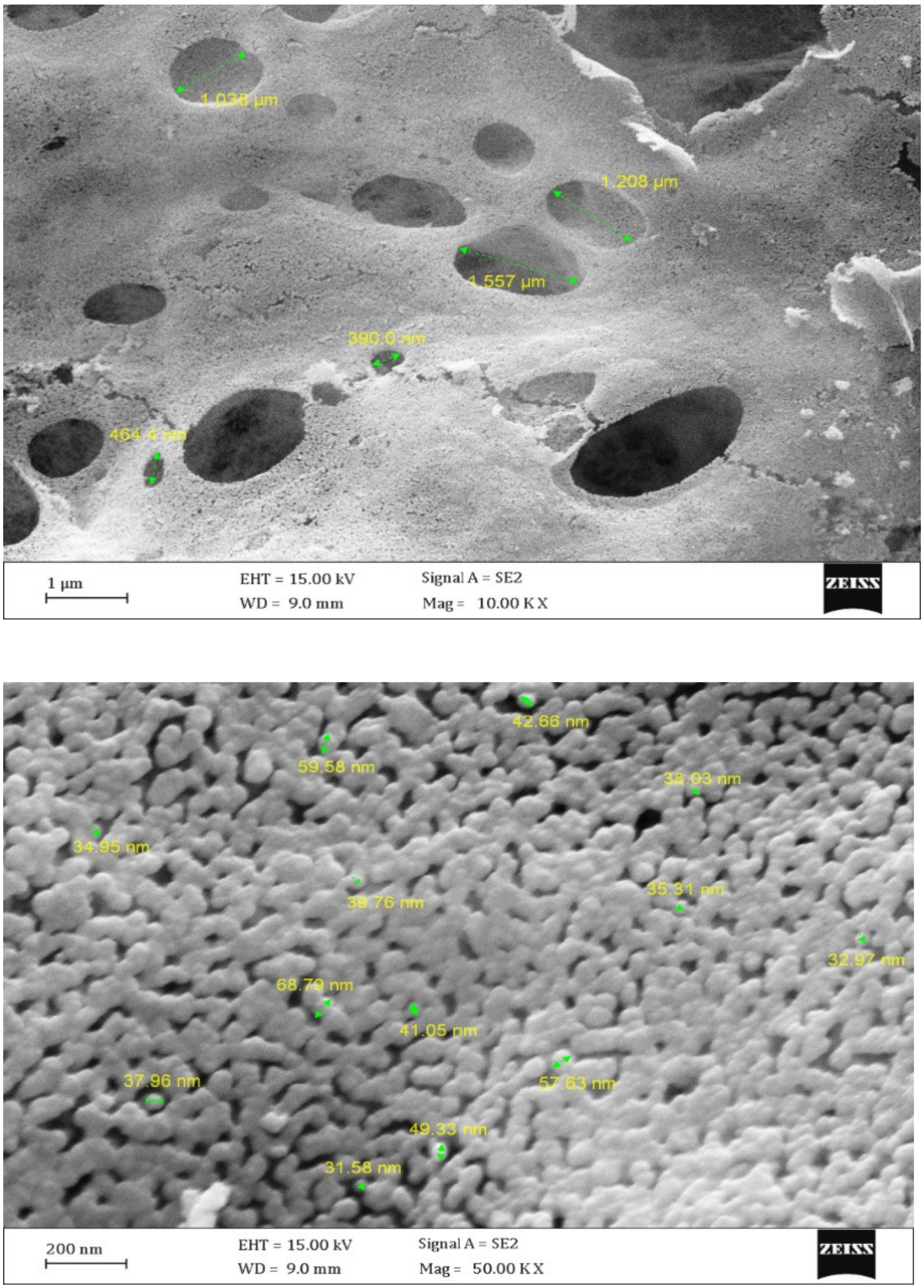 Toxics 09 00254 g005