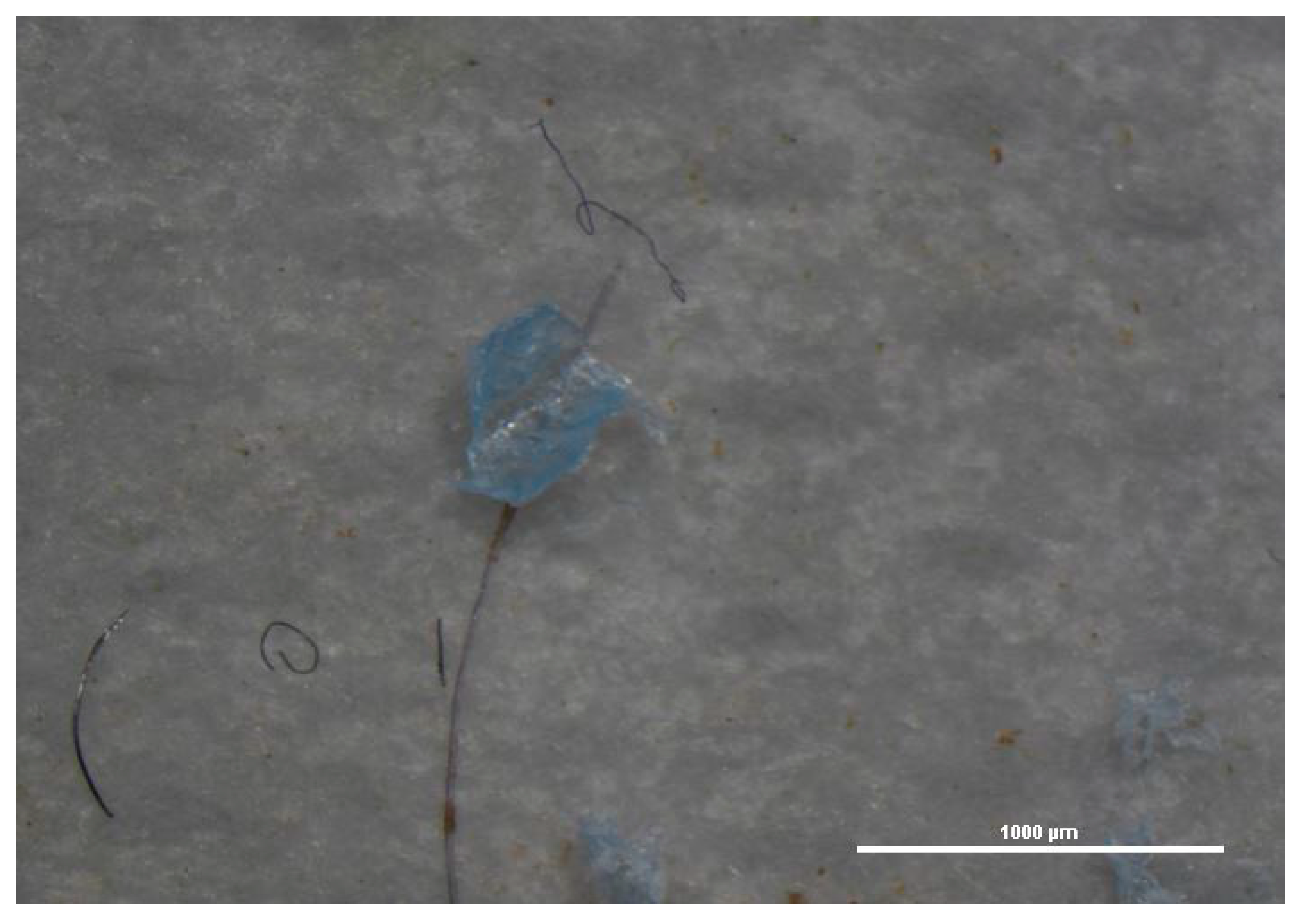 Toxics 09 00256 g001