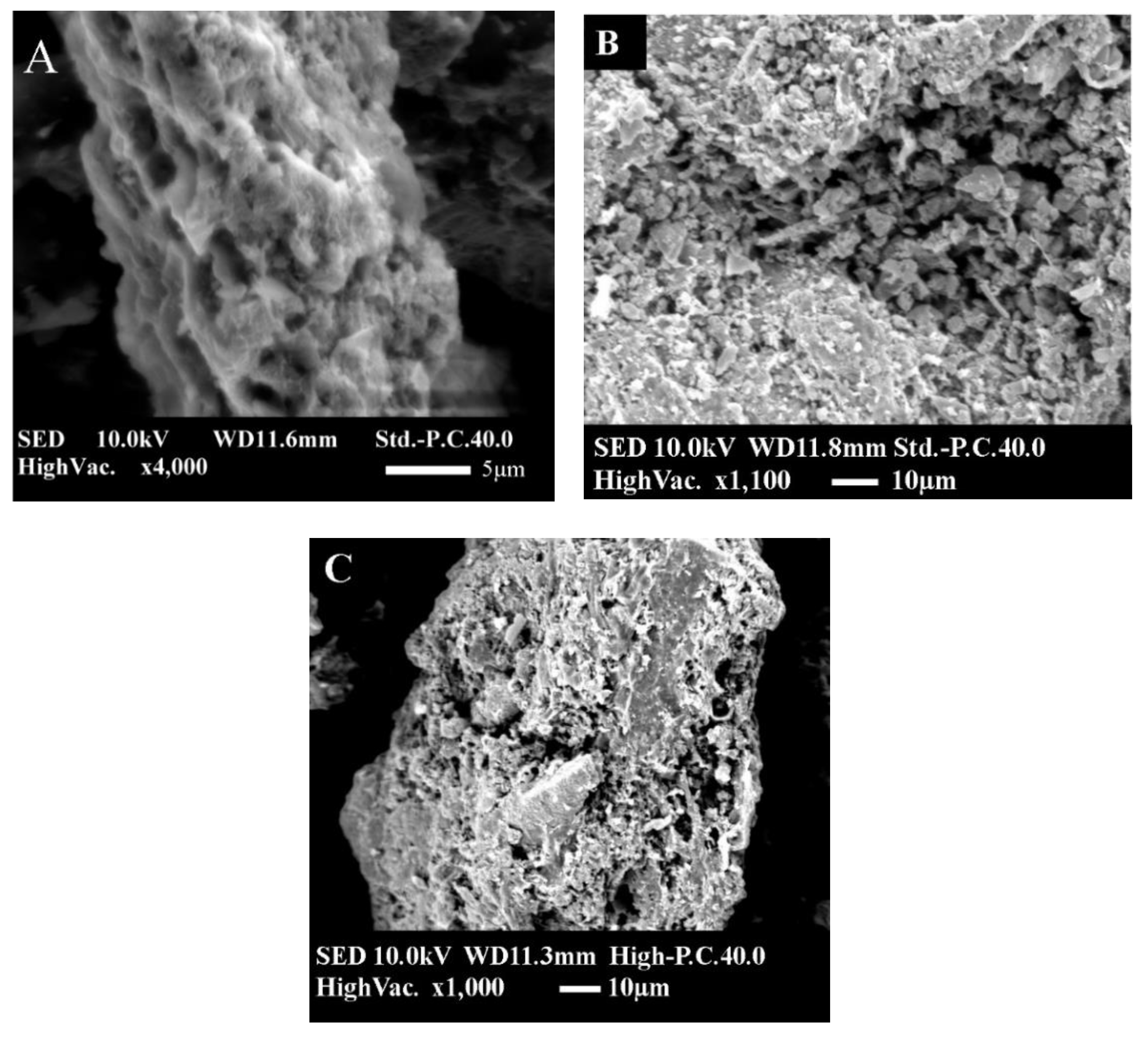 Toxics 09 00277 g004