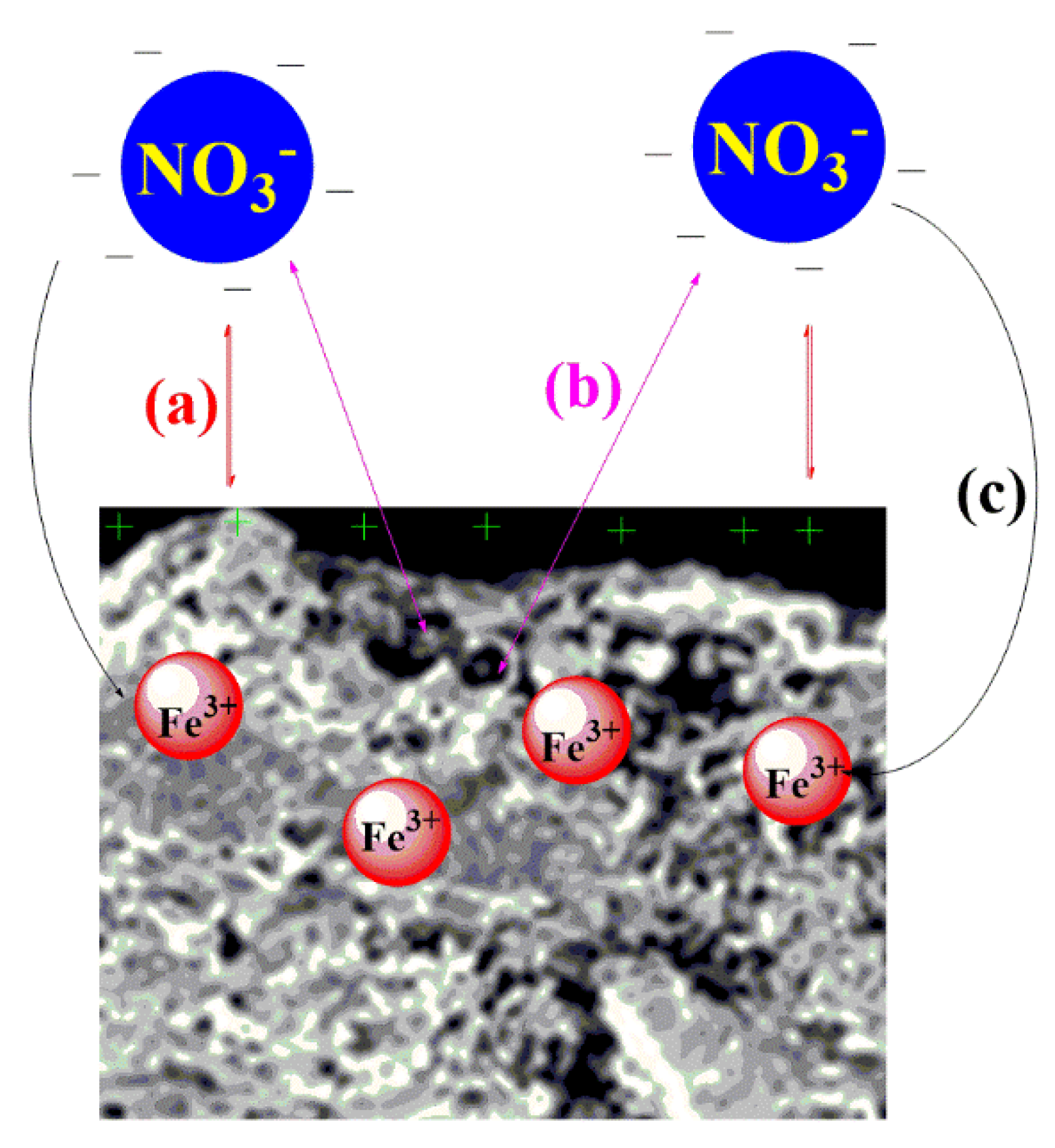 Toxics 09 00277 g010