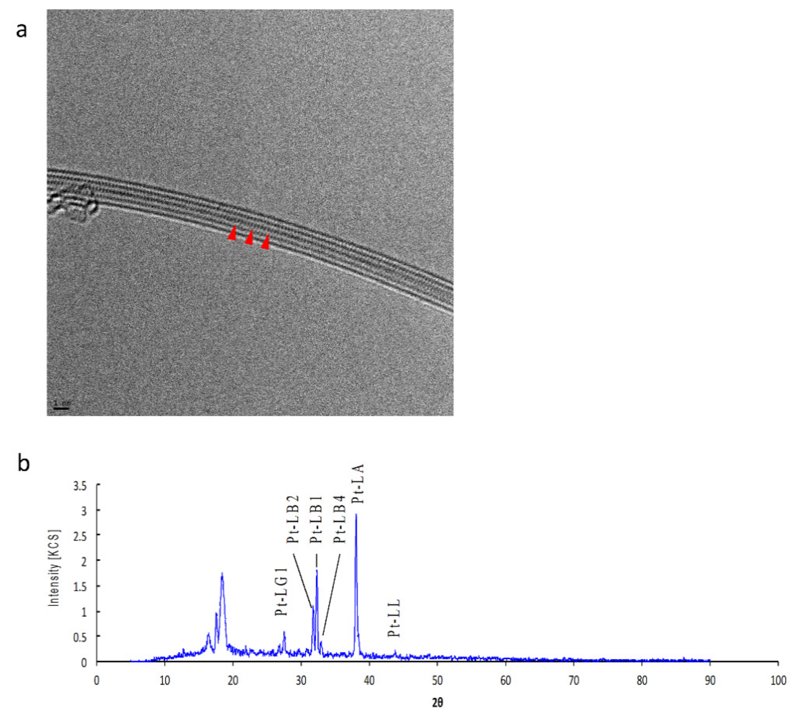 Toxics 09 00331 g001