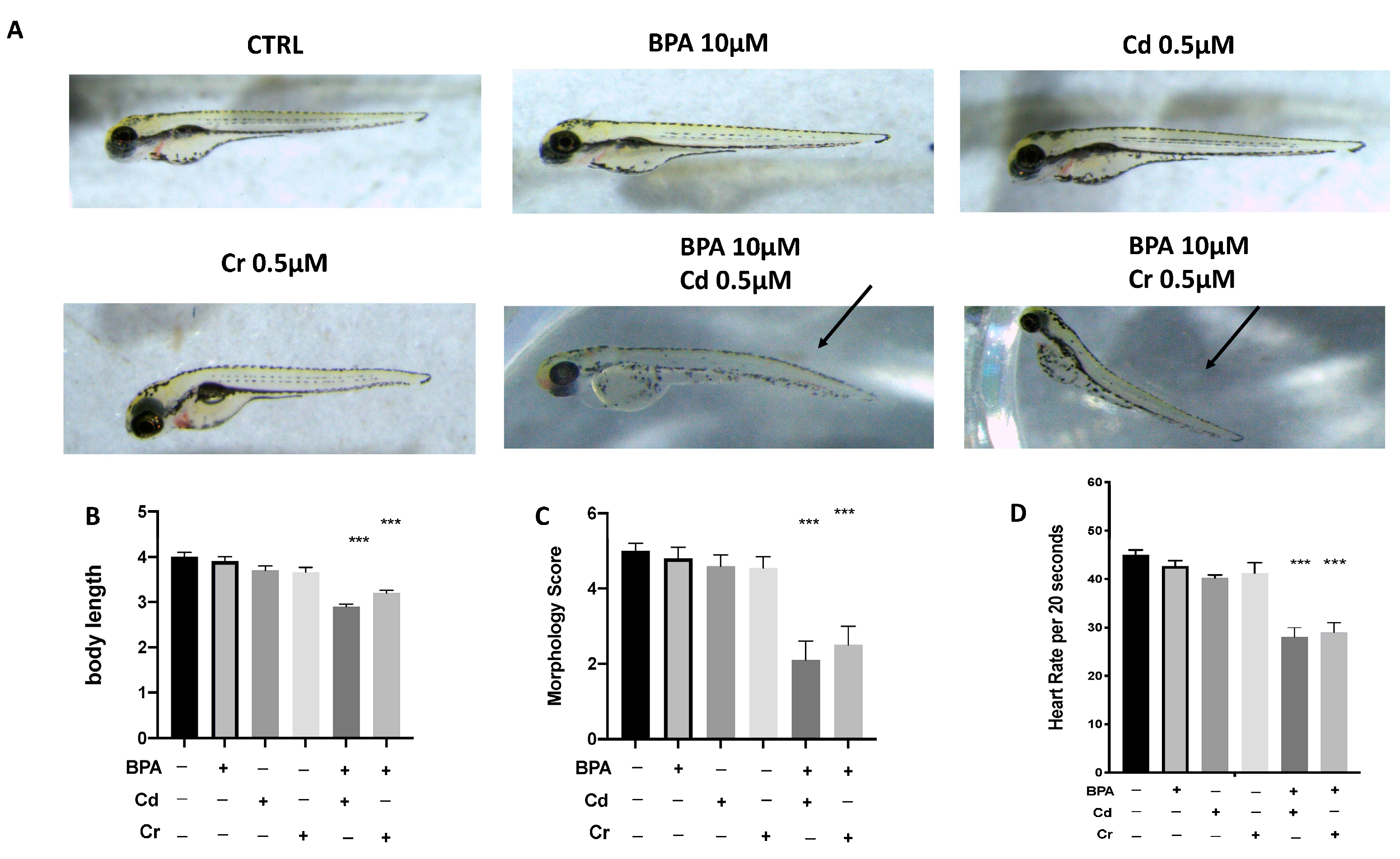 Toxics 09 00344 g002