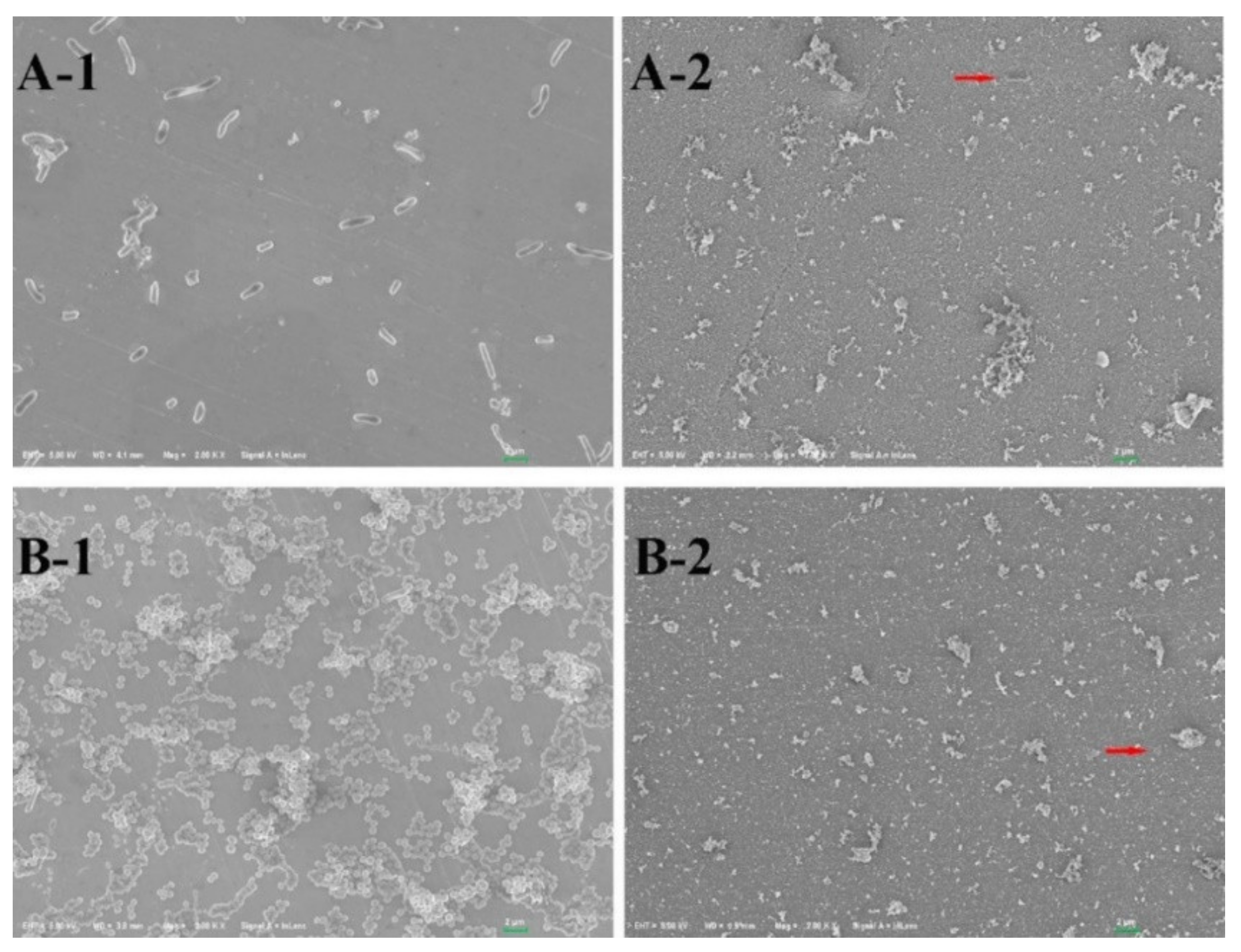 Toxics 10 00035 g008
