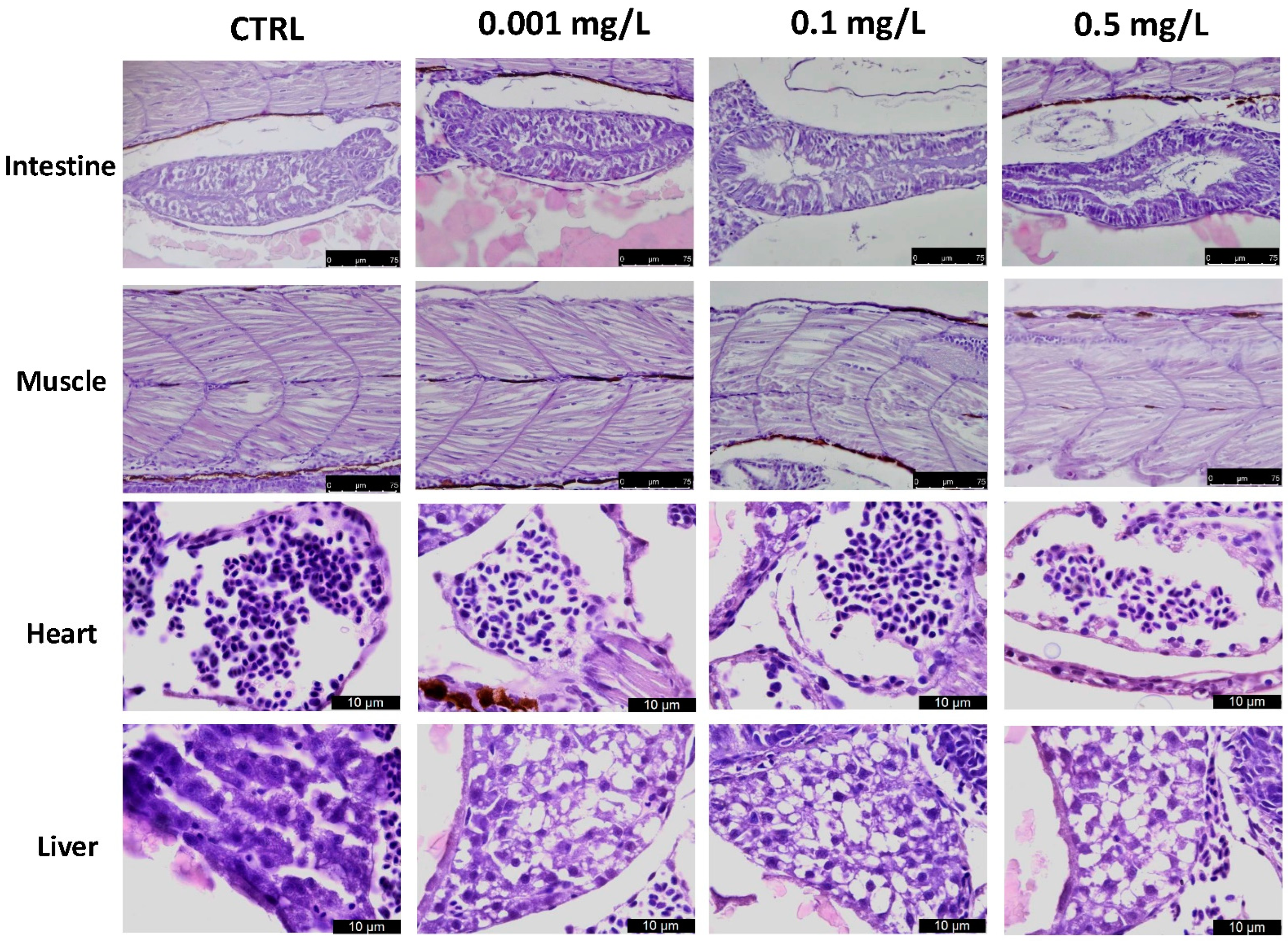Toxics 10 00081 g003