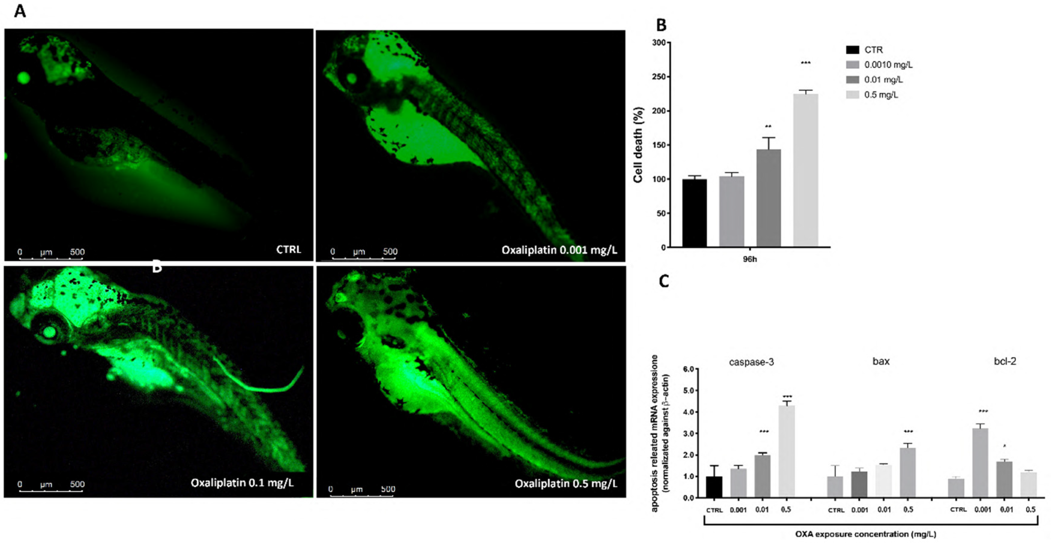 Toxics 10 00081 g004